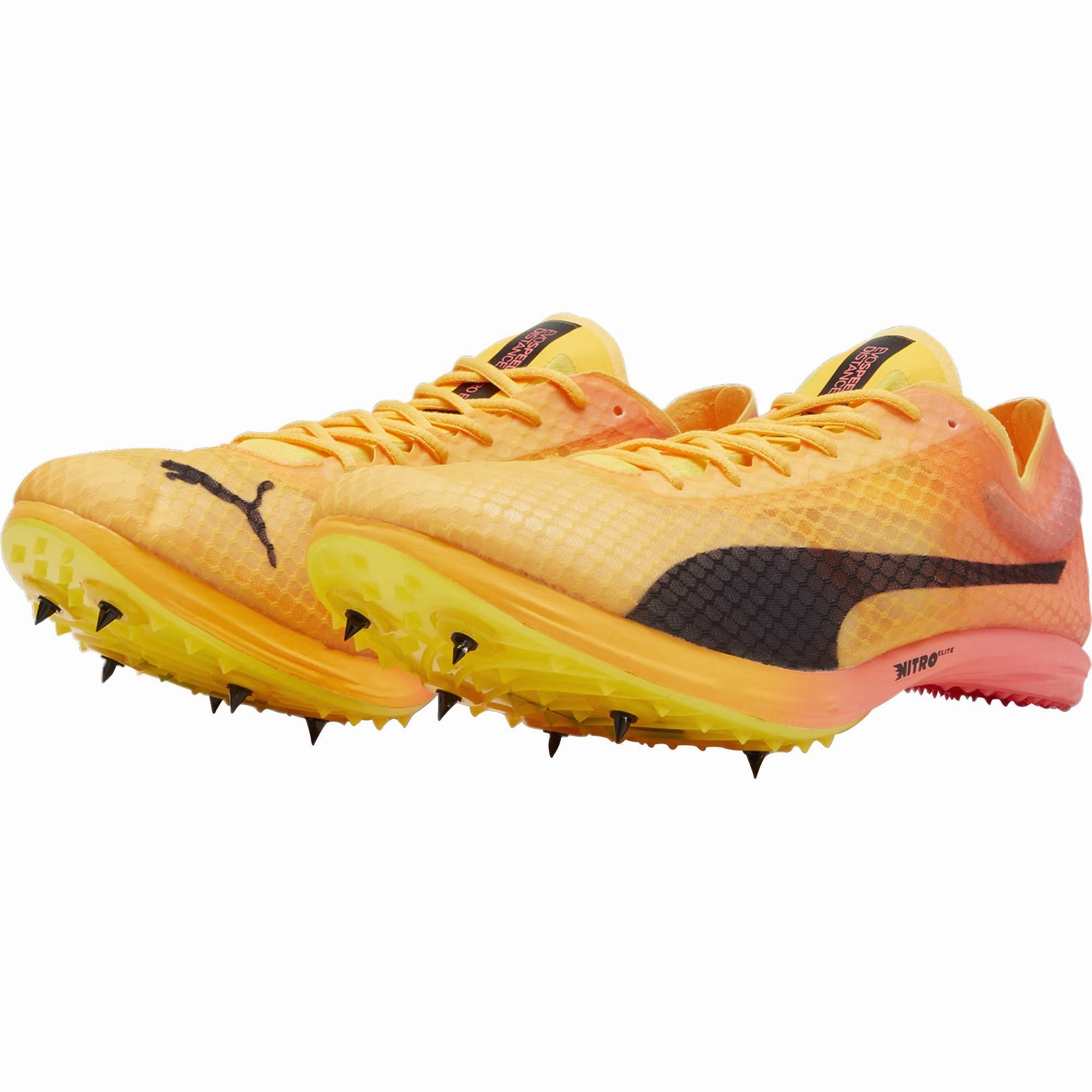 Shoes Puma Puma evoSpeed Distance Nitro Elite   4 Running Spikes - Orange