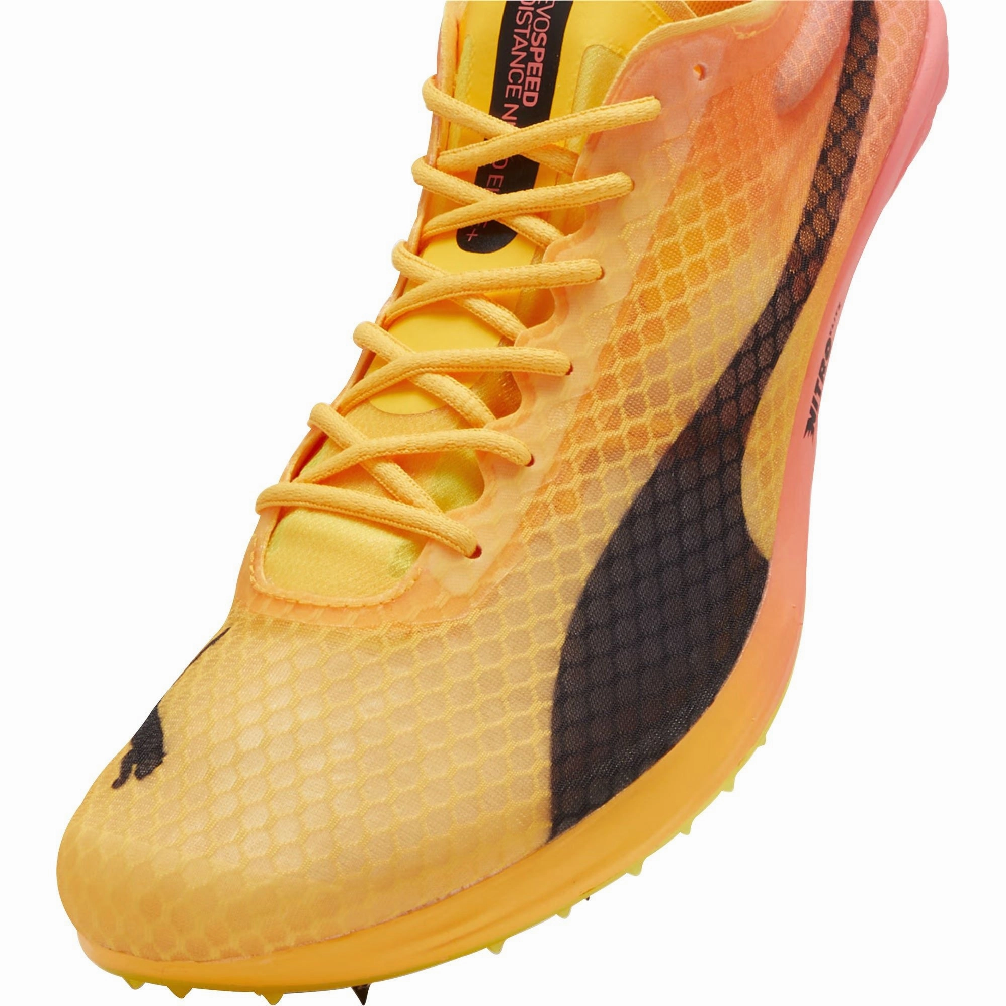 Shoes Puma Puma evoSpeed Distance Nitro Elite   4 Running Spikes - Orange