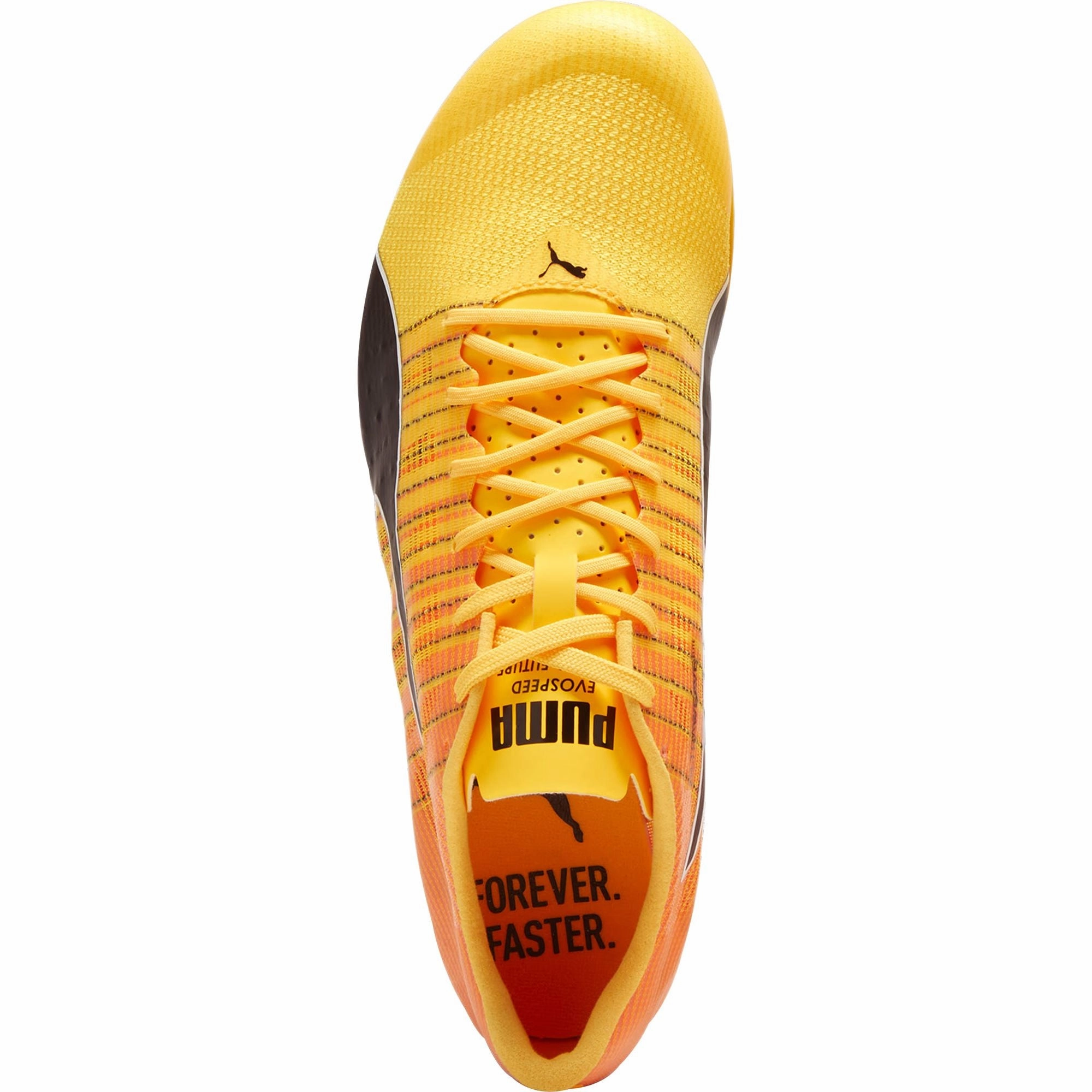 Shoes Puma Puma evoSpeed Future 6 Running Spikes - Orange