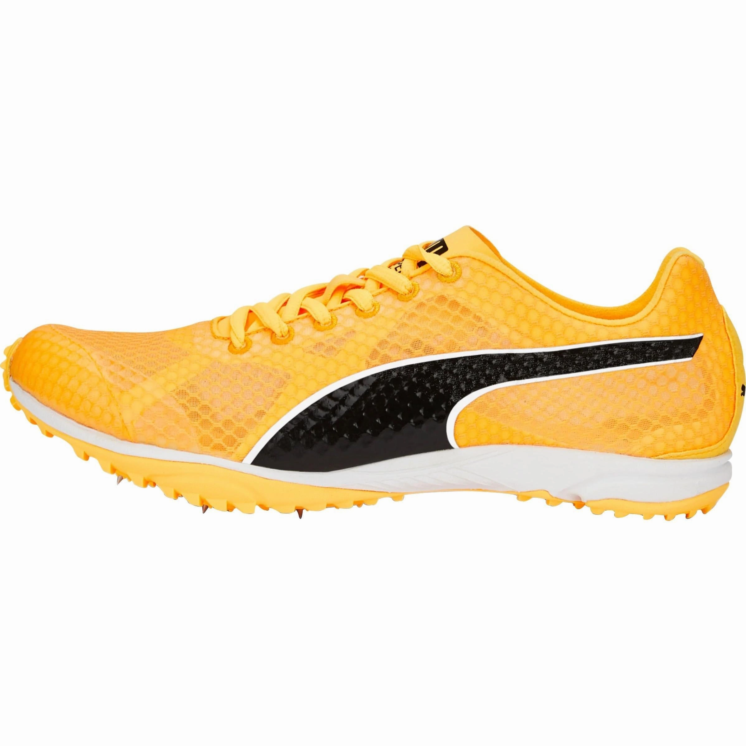 Shoes Puma Puma evoSpeed Haraka 7 Cross Country Spikes - Orange