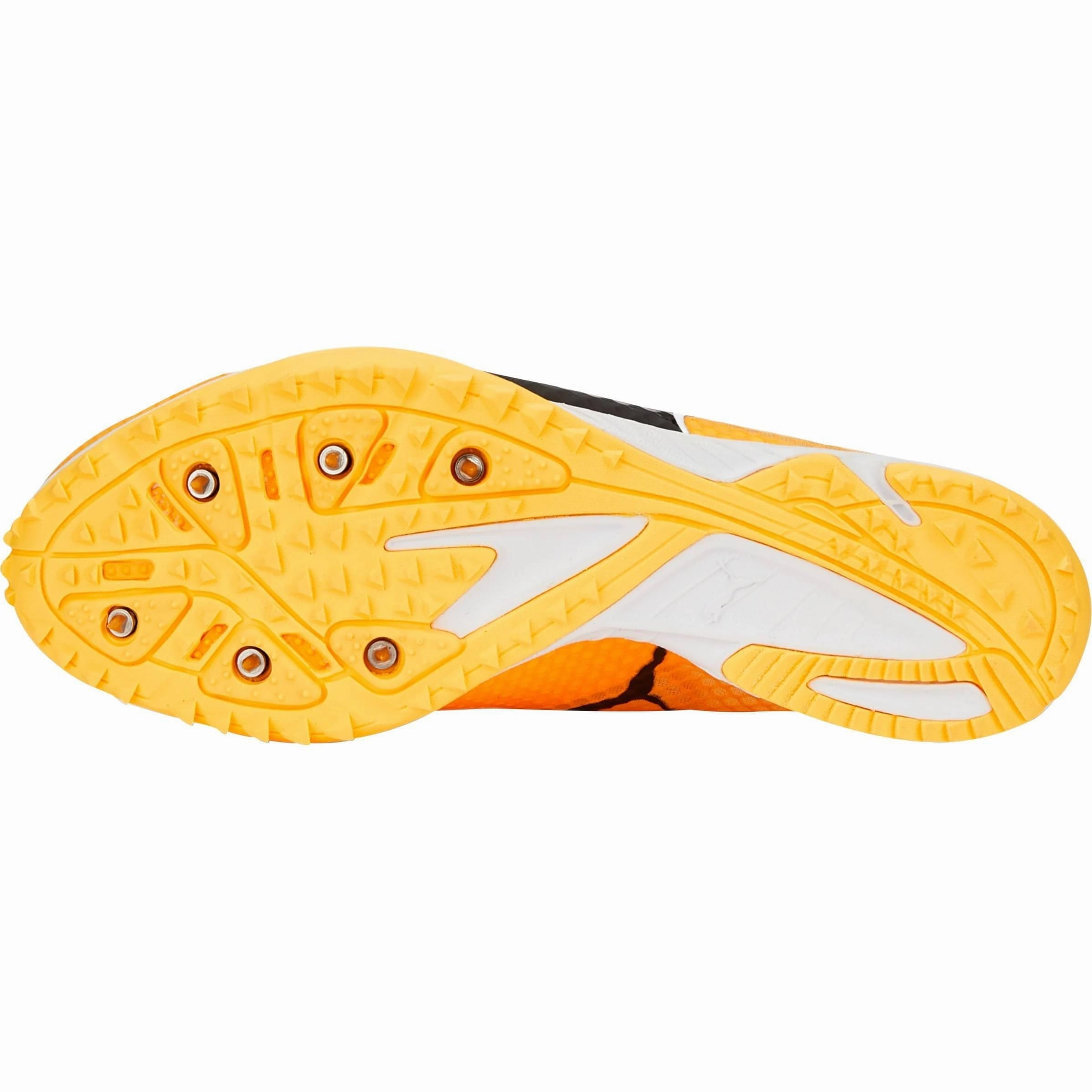 Shoes Puma Puma evoSpeed Haraka 7 Cross Country Spikes - Orange