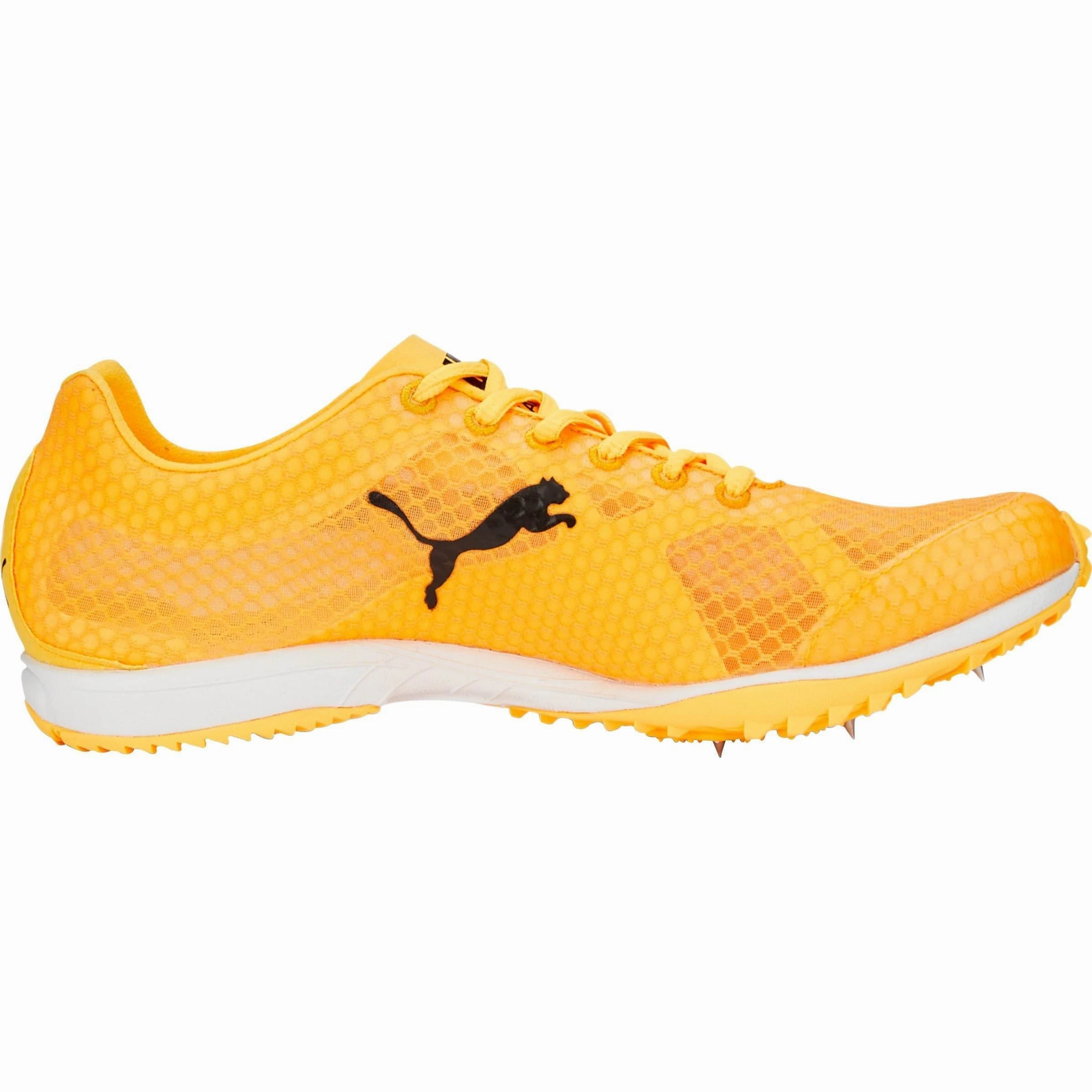 Shoes Puma Puma evoSpeed Haraka 7 Cross Country Spikes - Orange
