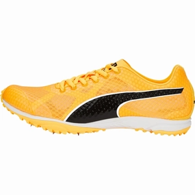 Shoes Puma Puma evoSpeed Haraka 7 Cross Country Spikes - Orange