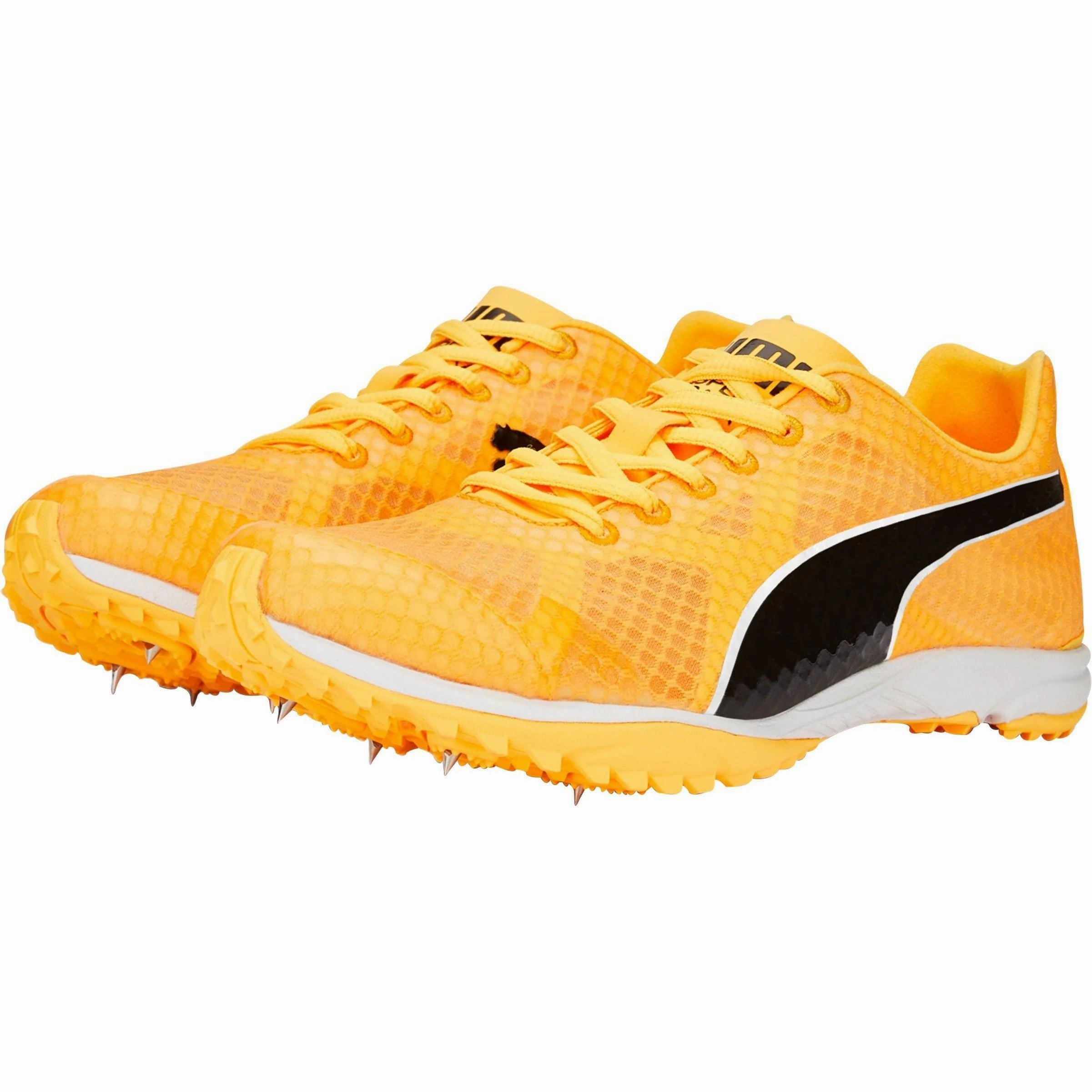 Shoes Puma Puma evoSpeed Haraka 7 Cross Country Spikes - Orange