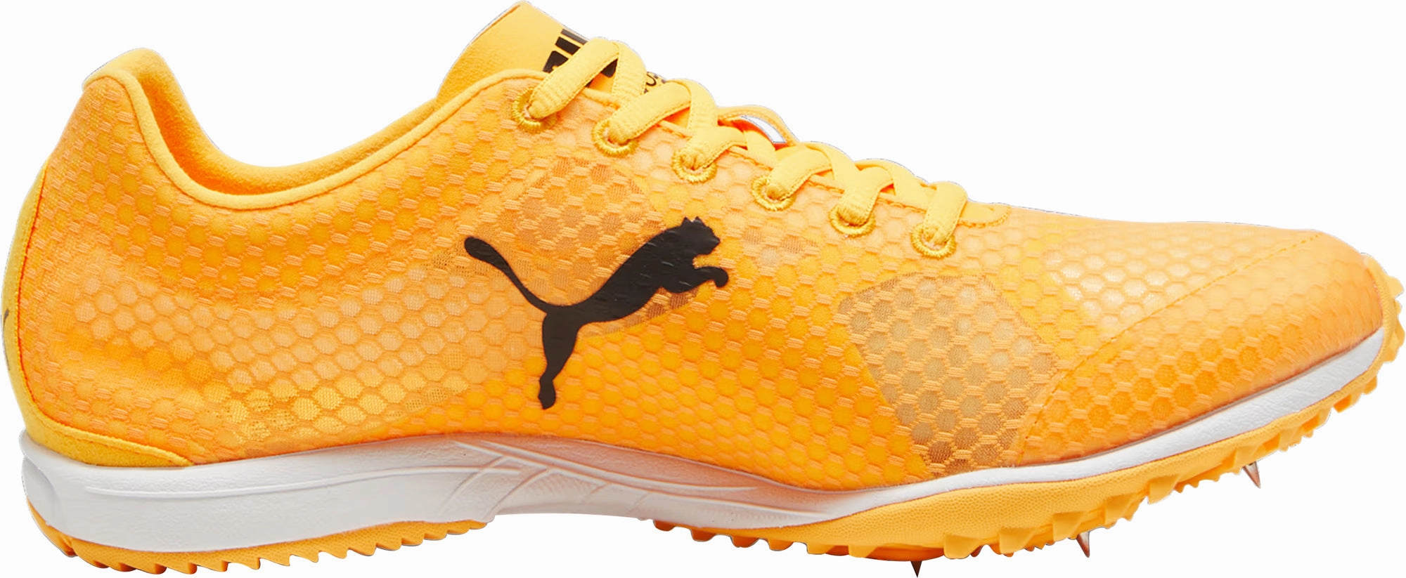 Shoes Puma Puma evoSpeed Haraka 8 Cross Country Spikes - Orange