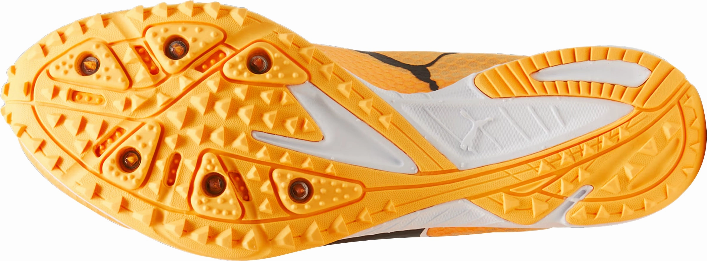 Shoes Puma Puma evoSpeed Haraka 8 Cross Country Spikes - Orange