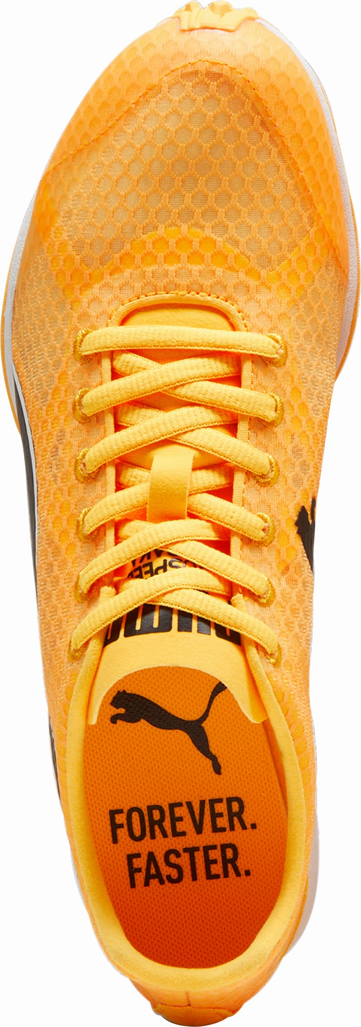 Shoes Puma Puma evoSpeed Haraka 8 Cross Country Spikes - Orange