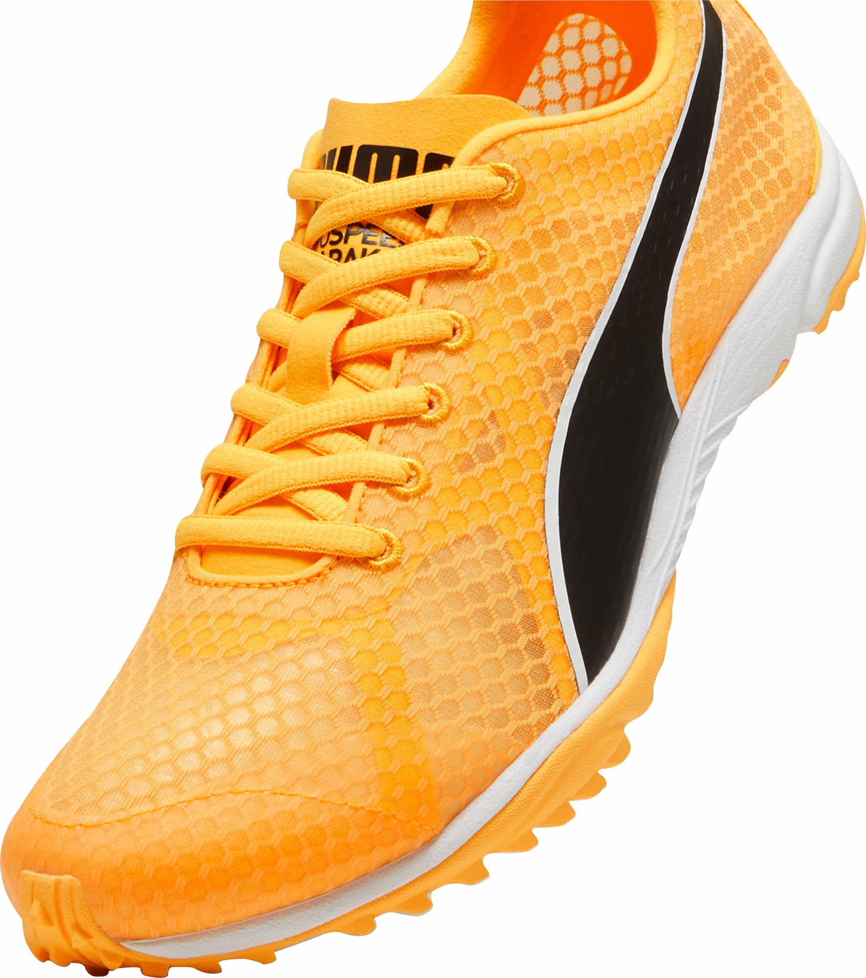 Shoes Puma Puma evoSpeed Haraka 8 Cross Country Spikes - Orange