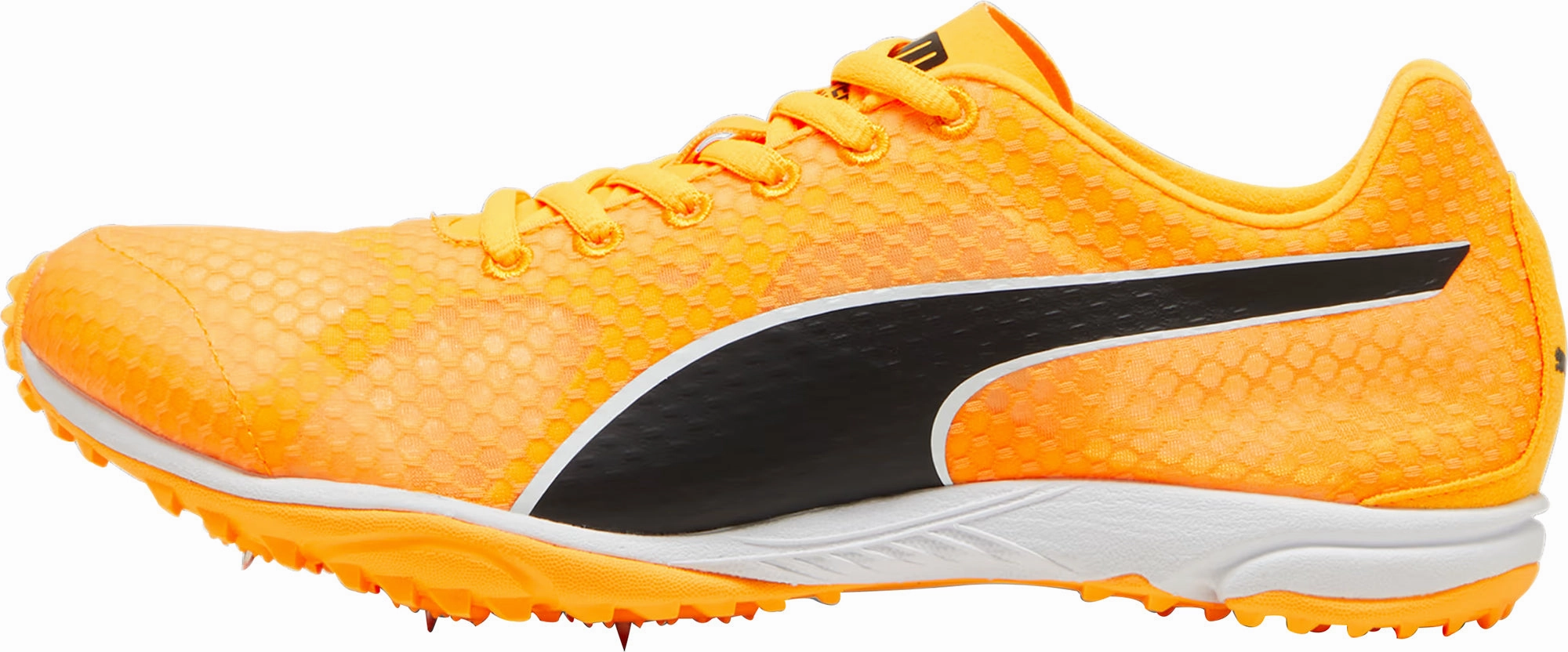 Shoes Puma Puma evoSpeed Haraka 8 Cross Country Spikes - Orange