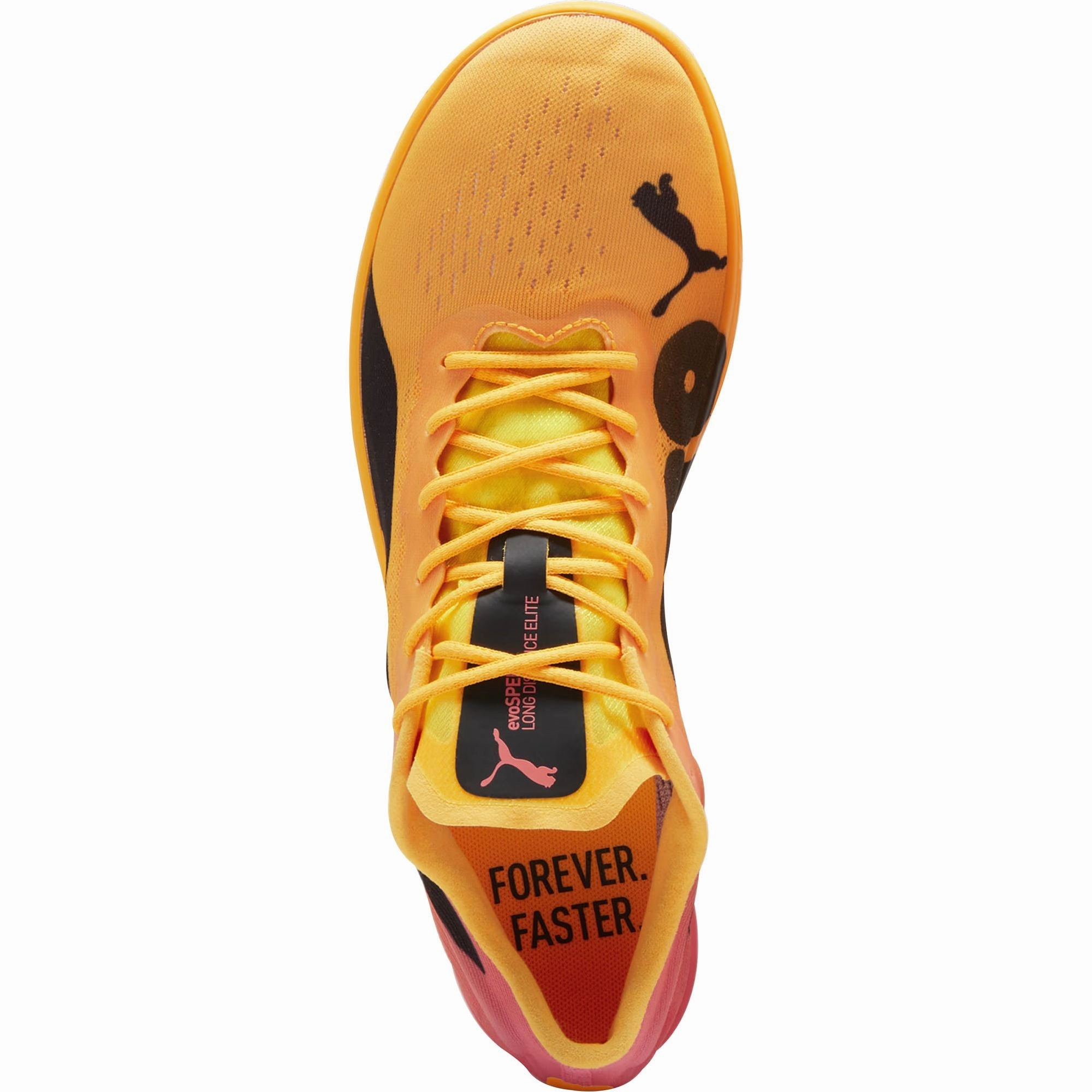 Shoes Puma Puma evoSpeed Long Distance Nitro Elite 2 Running Spikes - Orange