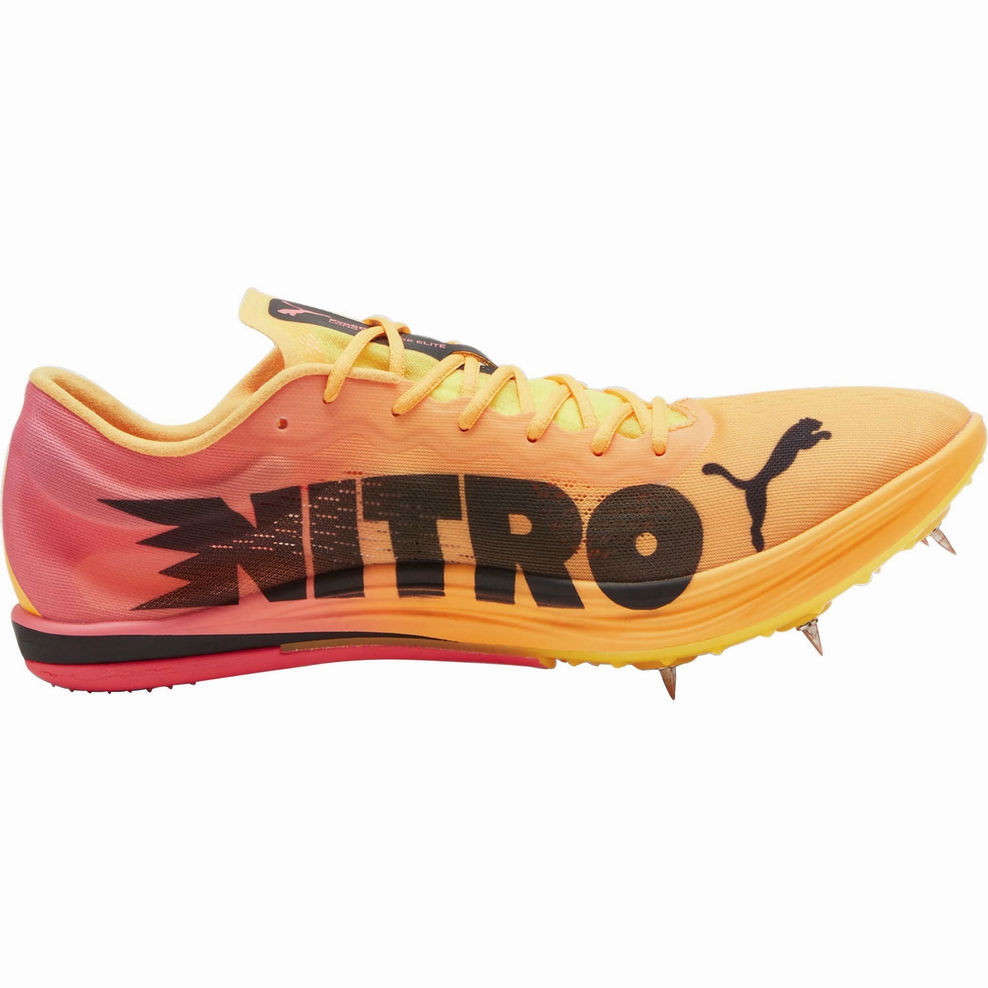 Shoes Puma Puma evoSpeed Long Distance Nitro Elite 2 Running Spikes - Orange