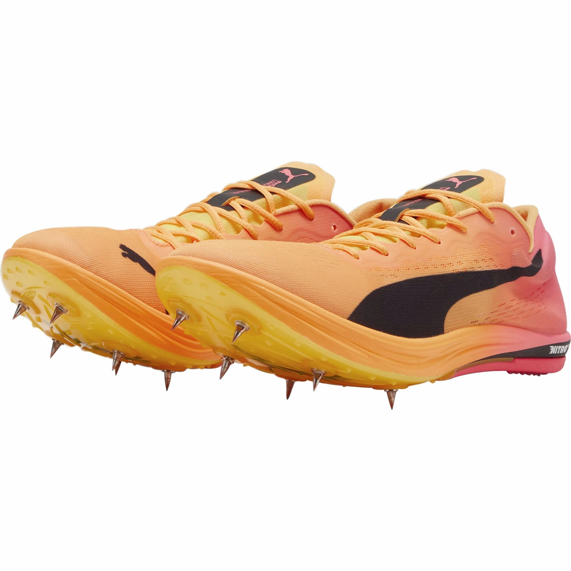 Shoes Puma Puma evoSpeed Long Distance Nitro Elite 2 Running Spikes - Orange