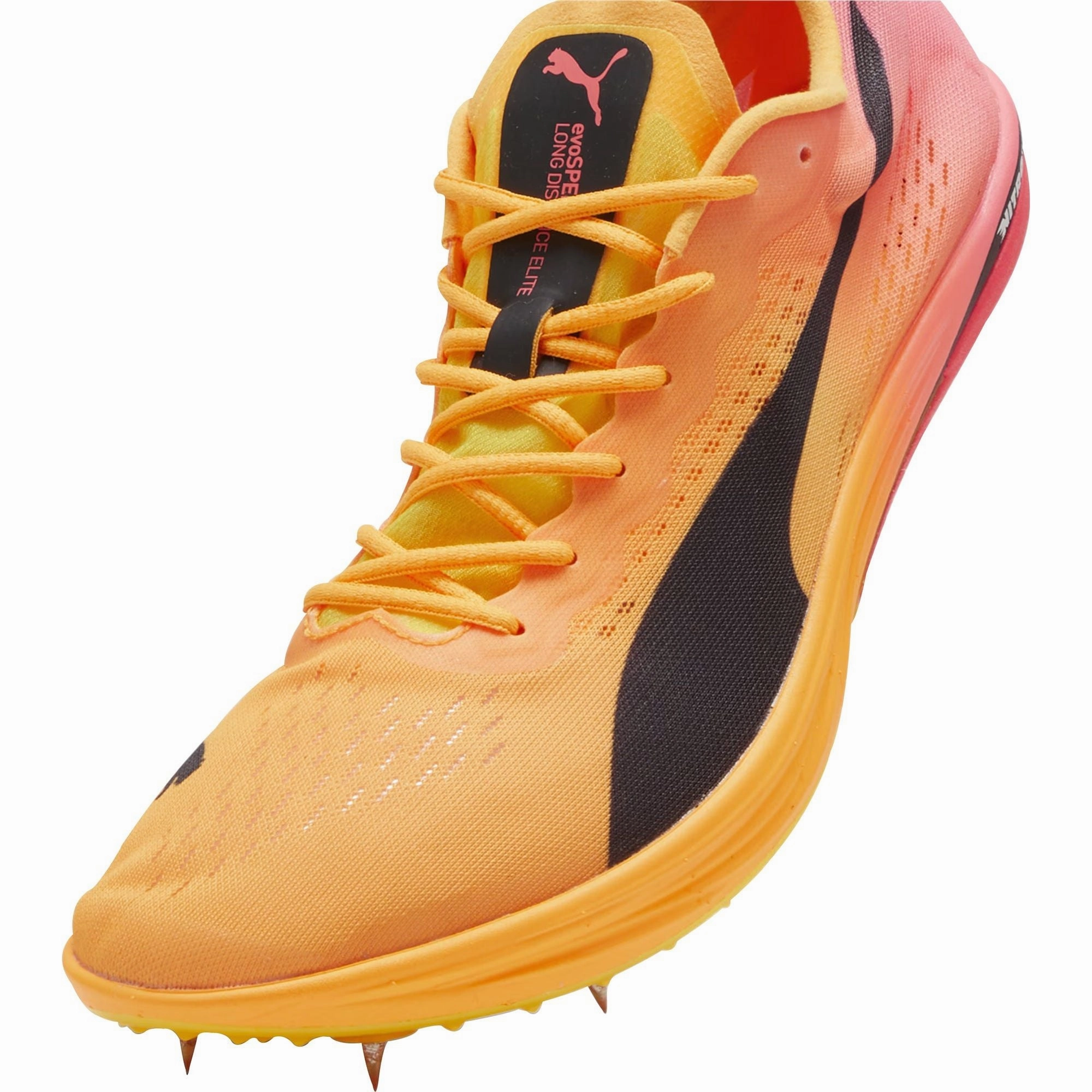 Shoes Puma Puma evoSpeed Long Distance Nitro Elite 2 Running Spikes - Orange