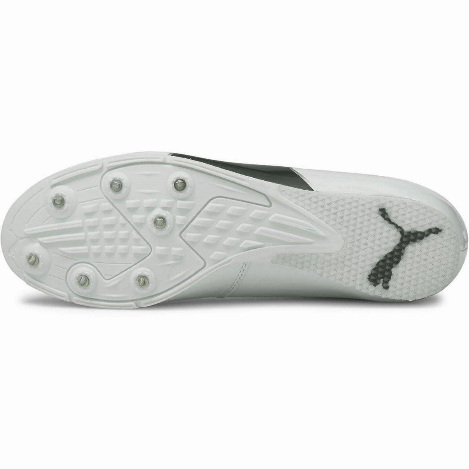 Shoes Puma Puma evoSpeed Long Jump 6 Field Event Spikes - White