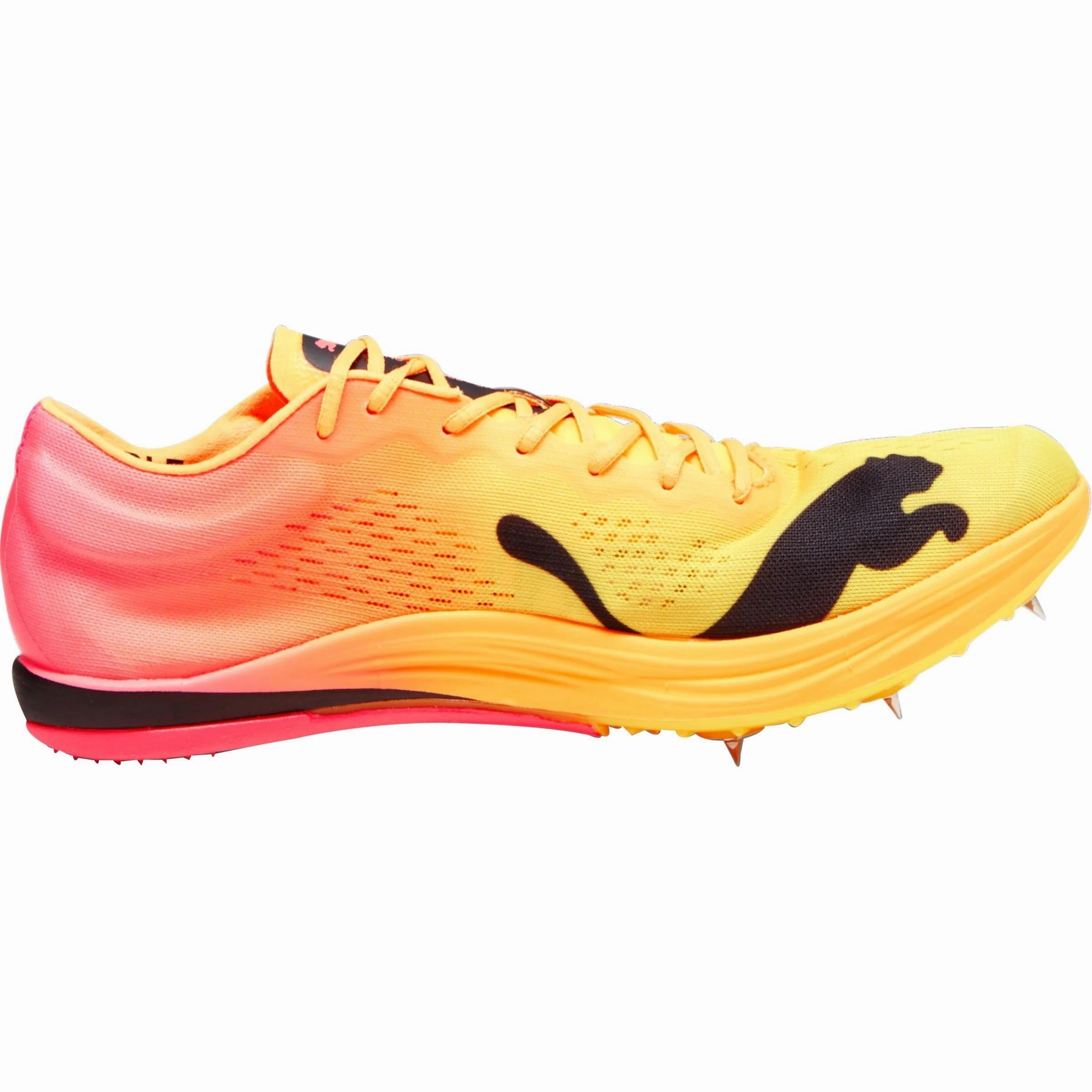 Shoes Puma Puma evoSpeed Nitro Elite  Long Distance Running Spikes - Orange