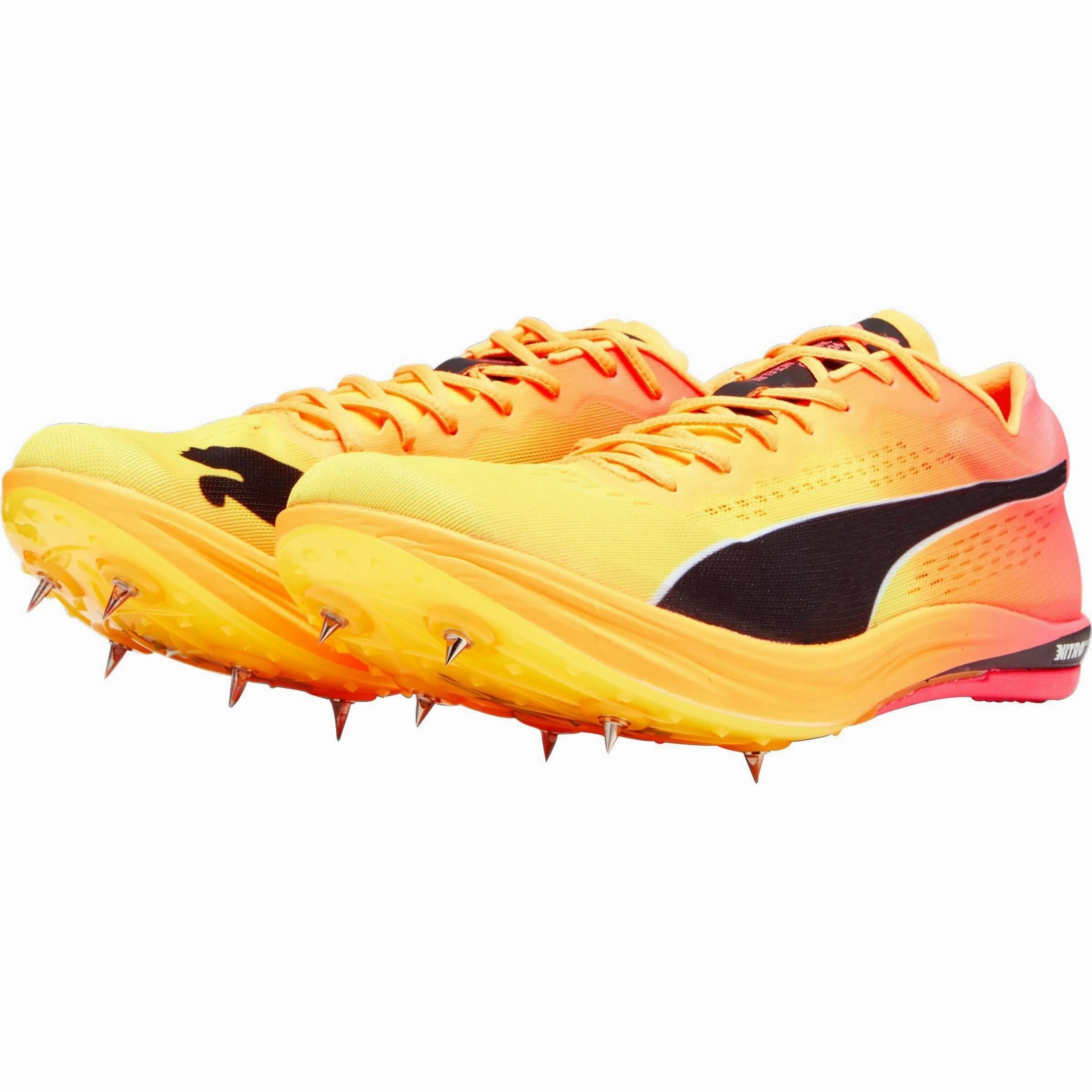 Shoes Puma Puma evoSpeed Nitro Elite  Long Distance Running Spikes - Orange