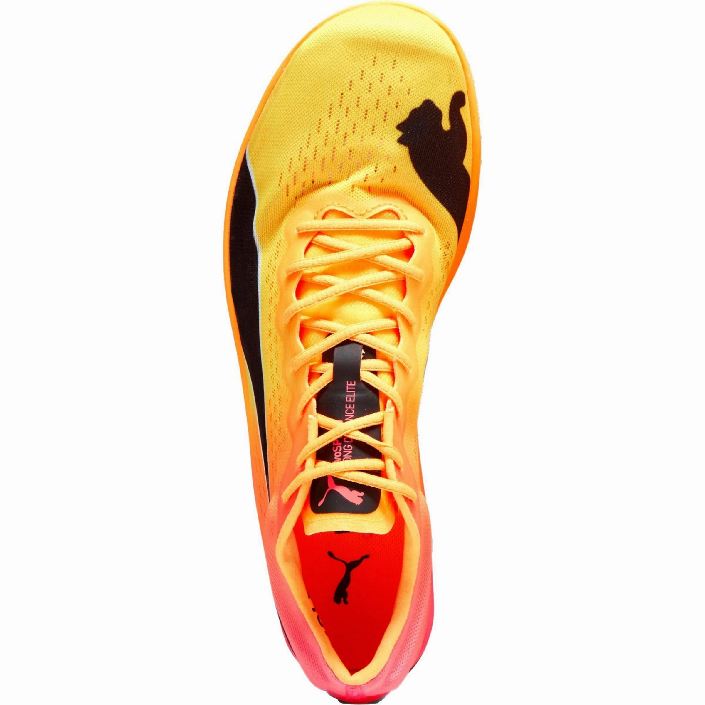 Shoes Puma Puma evoSpeed Nitro Elite  Long Distance Running Spikes - Orange