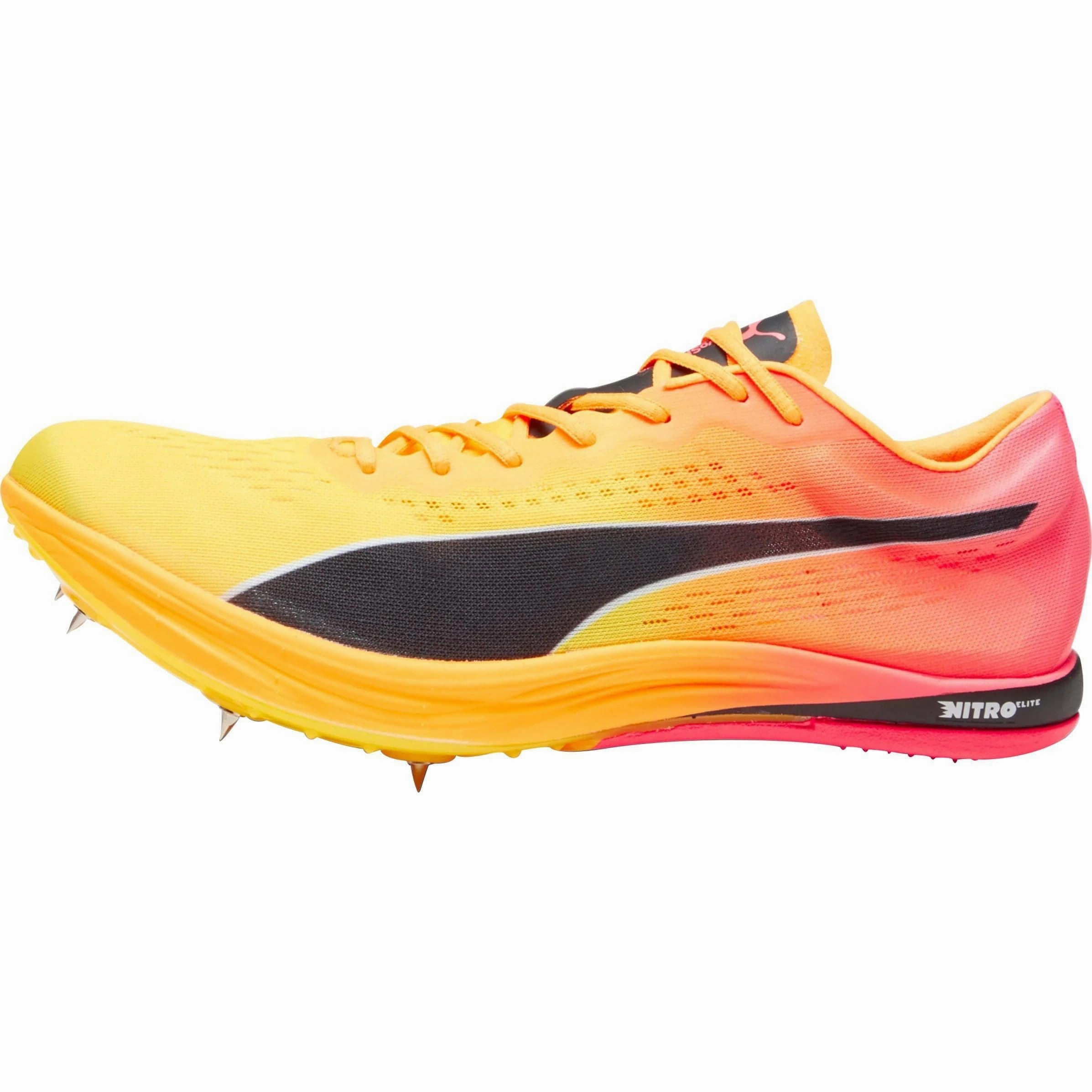 Shoes Puma Puma evoSpeed Nitro Elite  Long Distance Running Spikes - Orange