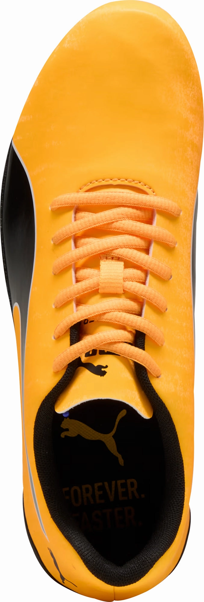 Shoes Puma Puma evoSpeed Prep Spint 3.5 Running Spikes - Orange