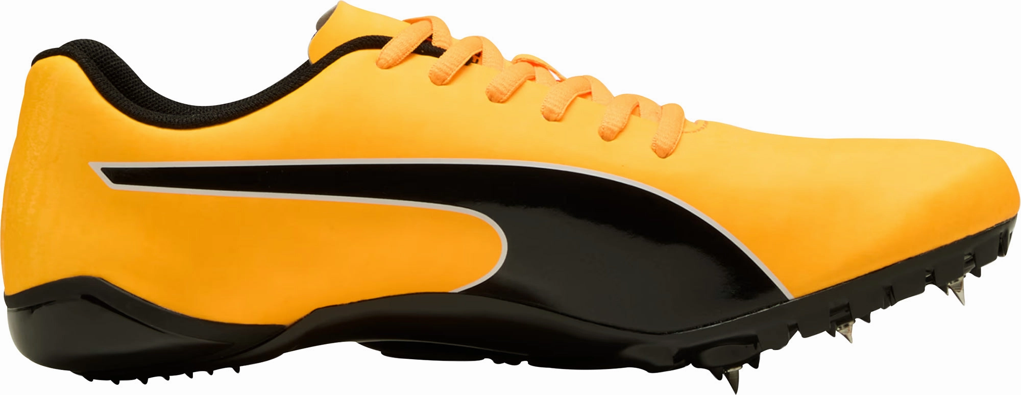 Shoes Puma Puma evoSpeed Prep Spint 3.5 Running Spikes - Orange