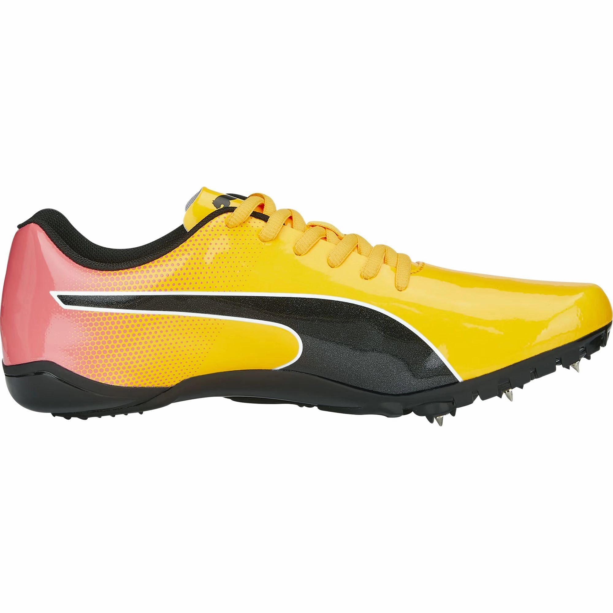 Shoes Puma Puma evoSpeed Prep Sprint 3 Running Spikes - Orange