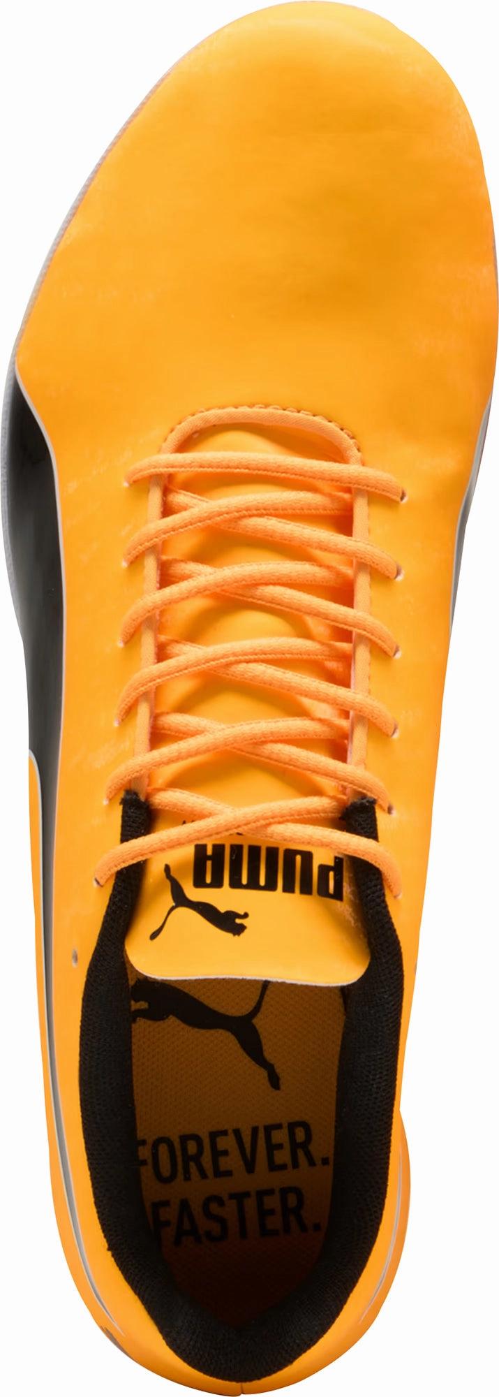Shoes Puma Puma evoSpeed Sprint 14.5 Running Spikes - Orange