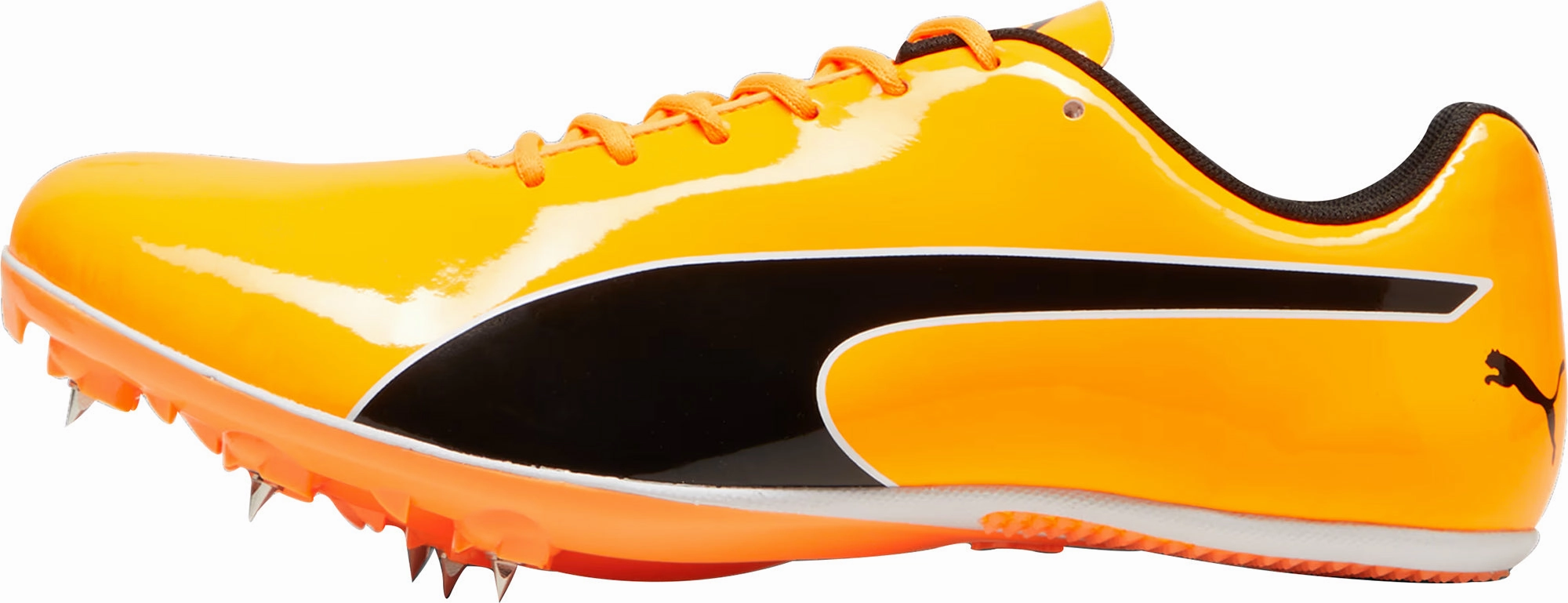 Shoes Puma Puma evoSpeed Sprint 14.5 Running Spikes - Orange
