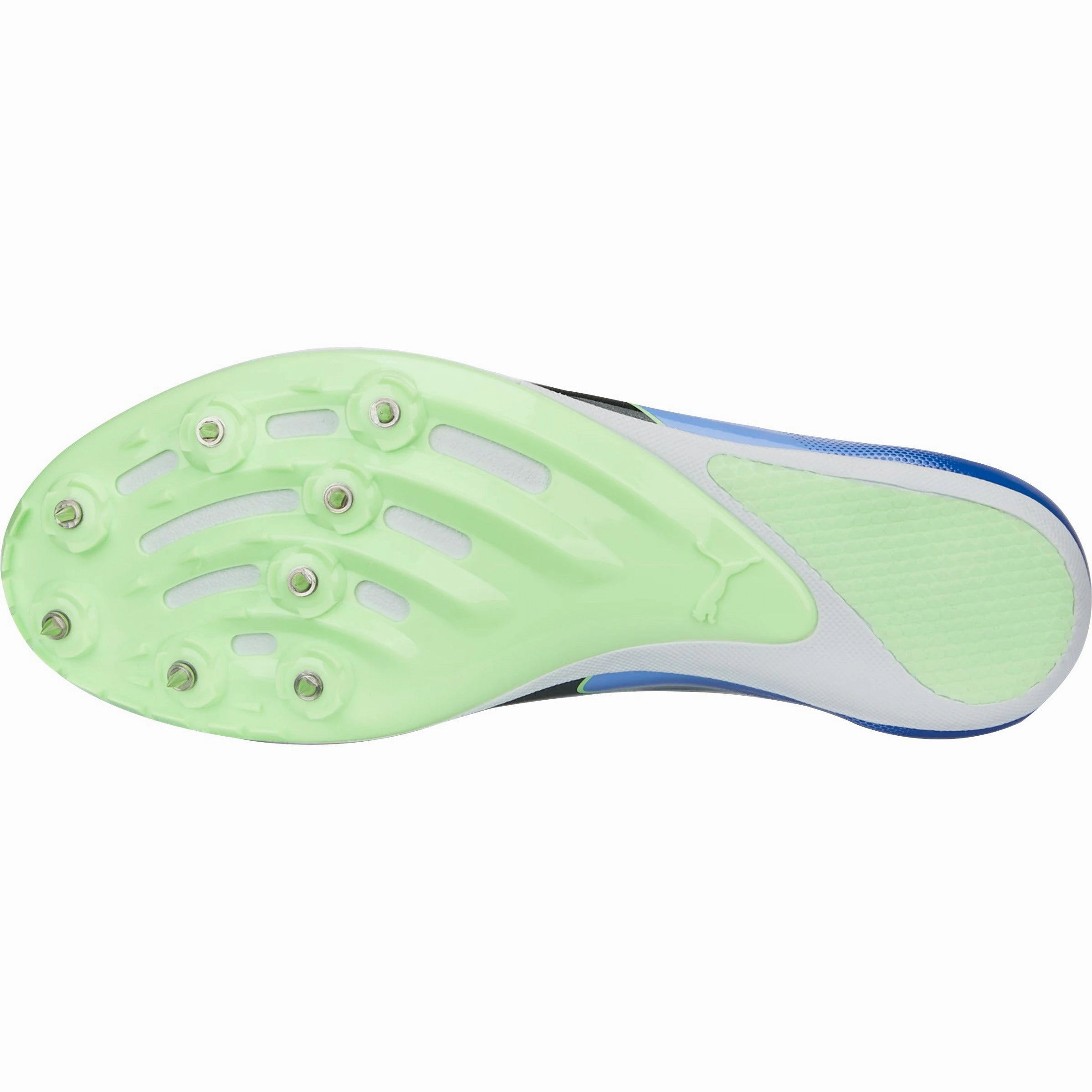 Shoes Puma Puma evoSpeed Sprint 14 Running Spikes - Purple