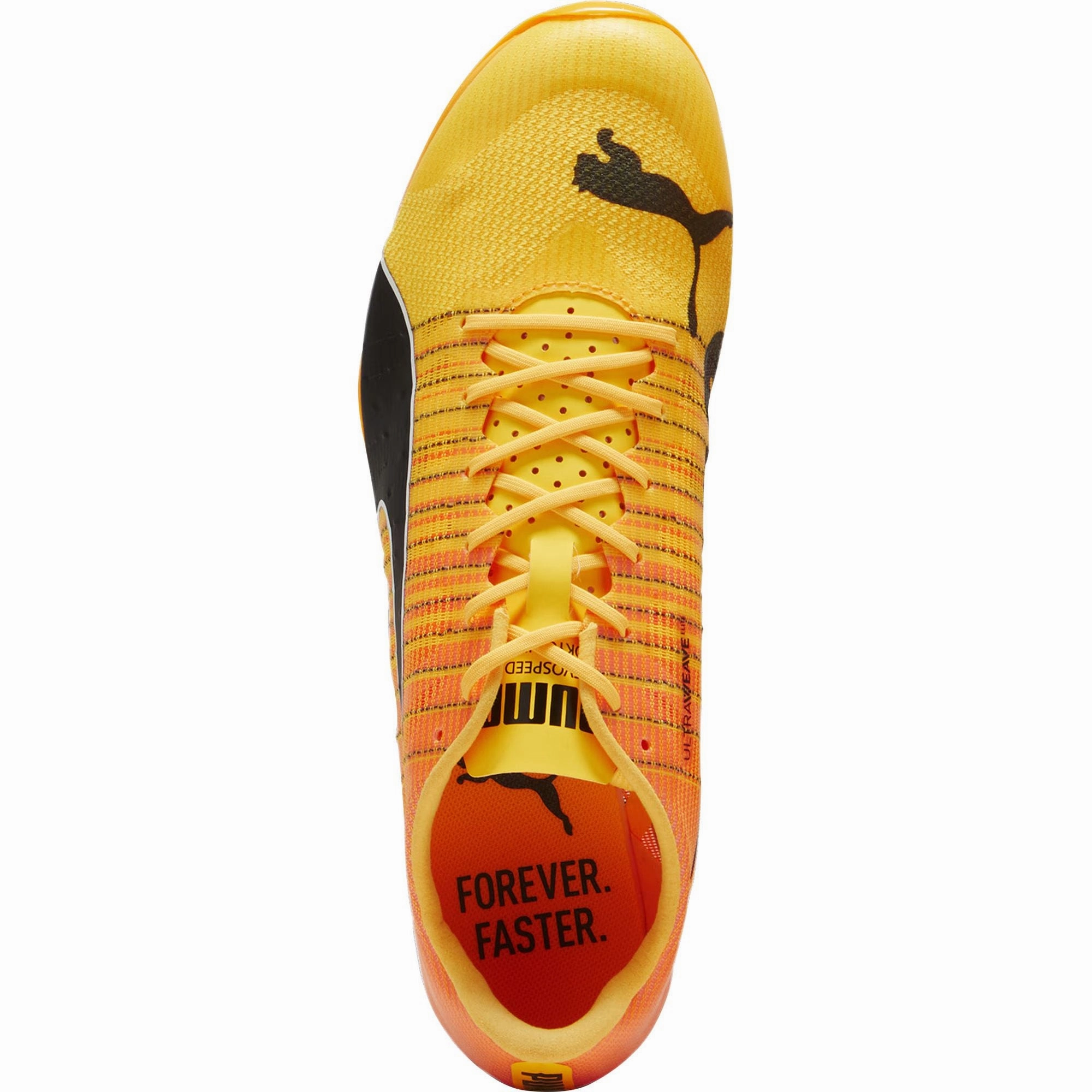 Shoes Puma Puma evoSpeed Sprint Nitro 2 Running Spikes - Orange