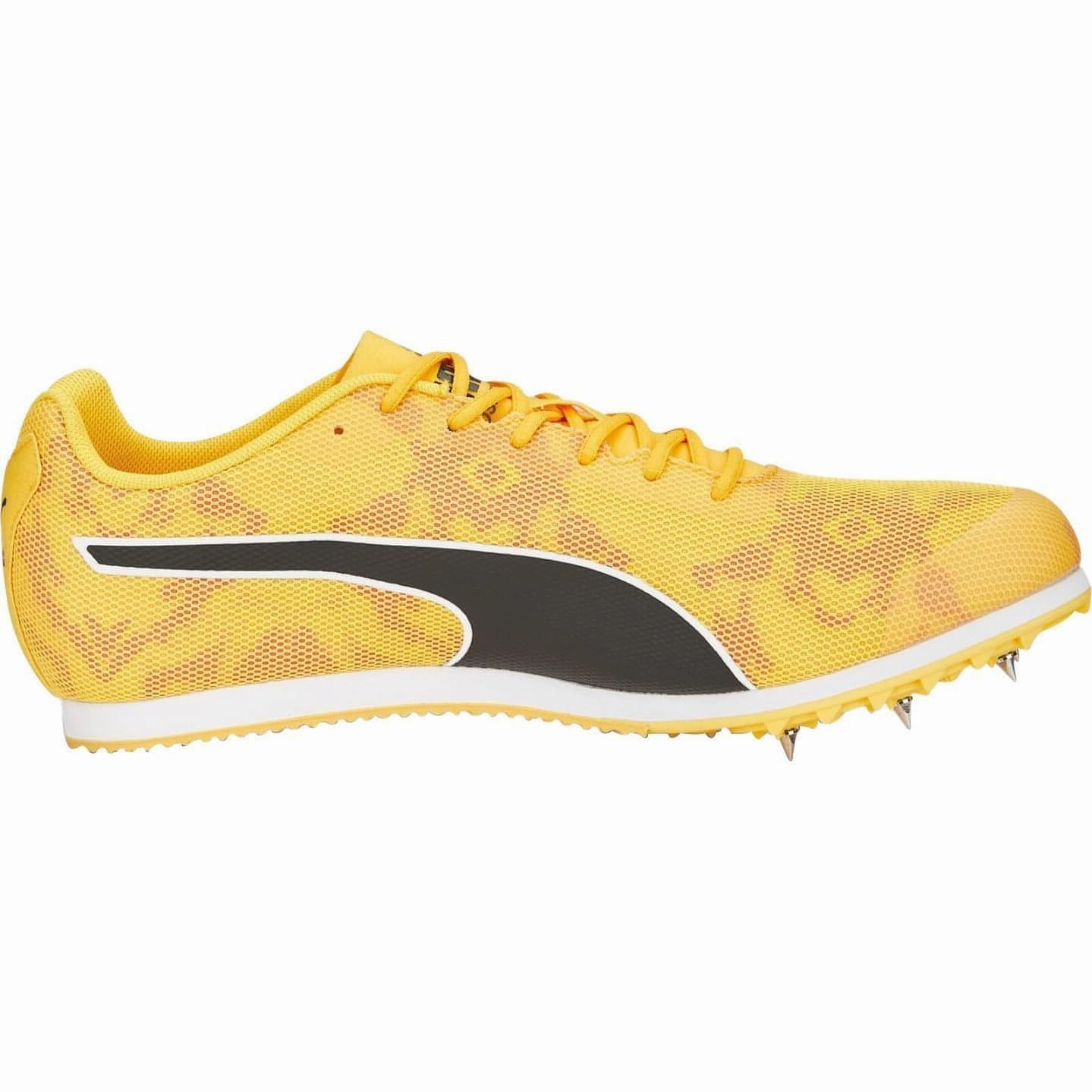 Shoes Puma Puma evoSpeed Star 8 Running Spikes - Orange