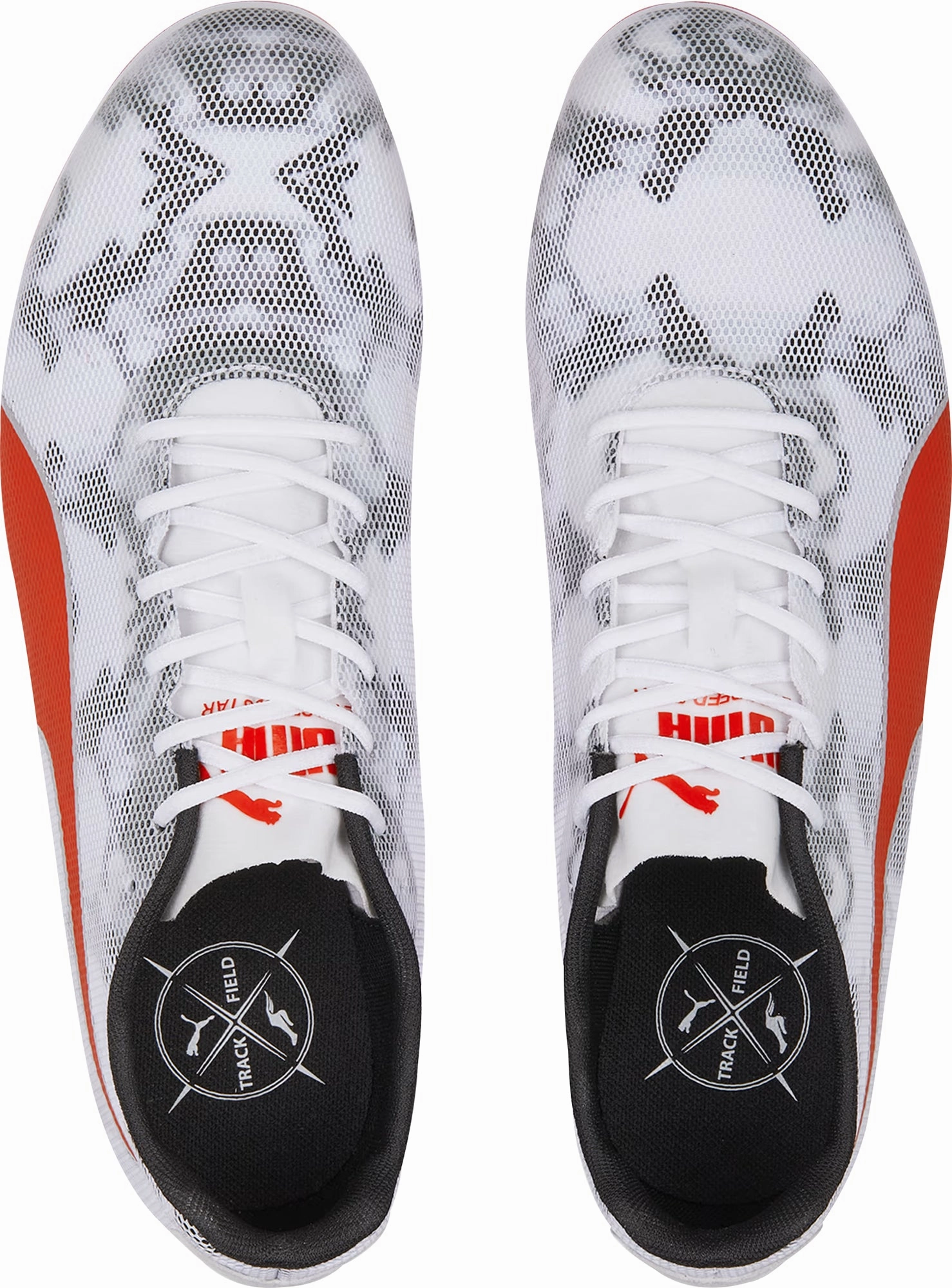 Shoes Puma Puma evoSpeed Star 8 Running Spikes - White