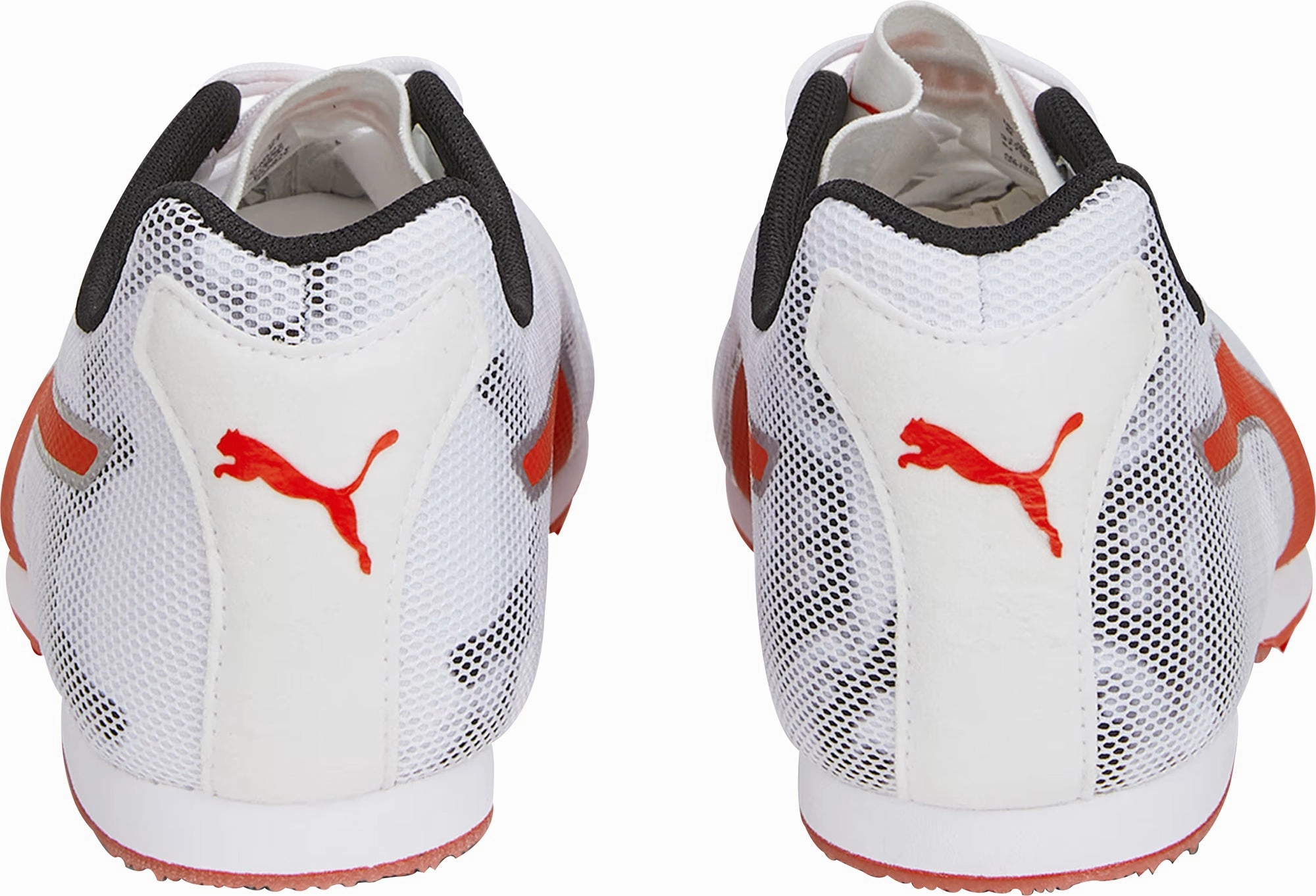 Shoes Puma Puma evoSpeed Star 8 Running Spikes - White