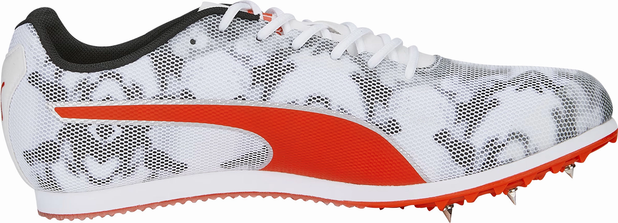 Shoes Puma Puma evoSpeed Star 8 Running Spikes - White