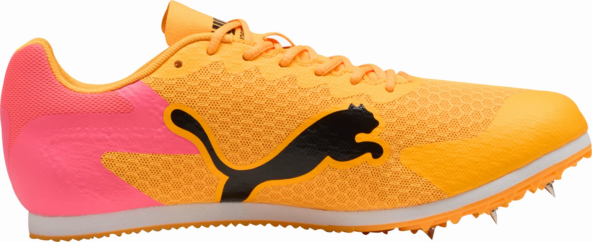 Shoes Puma Puma evoSpeed Star 9 Running Spikes - Orange
