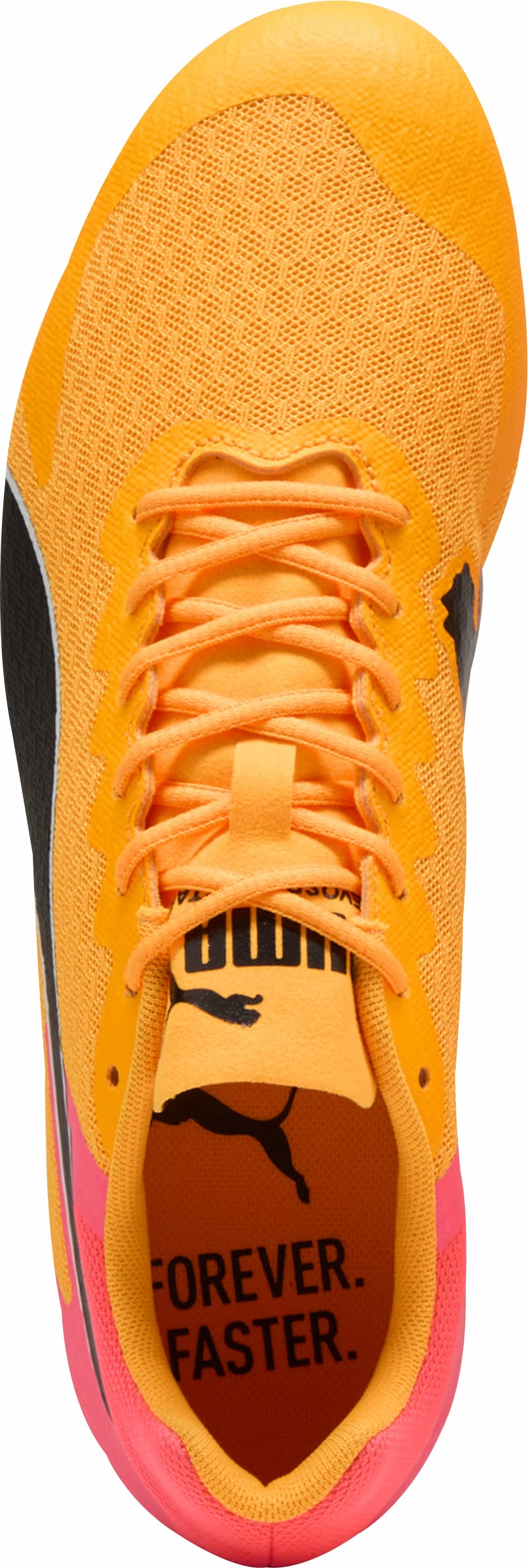 Shoes Puma Puma evoSpeed Star 9 Running Spikes - Orange