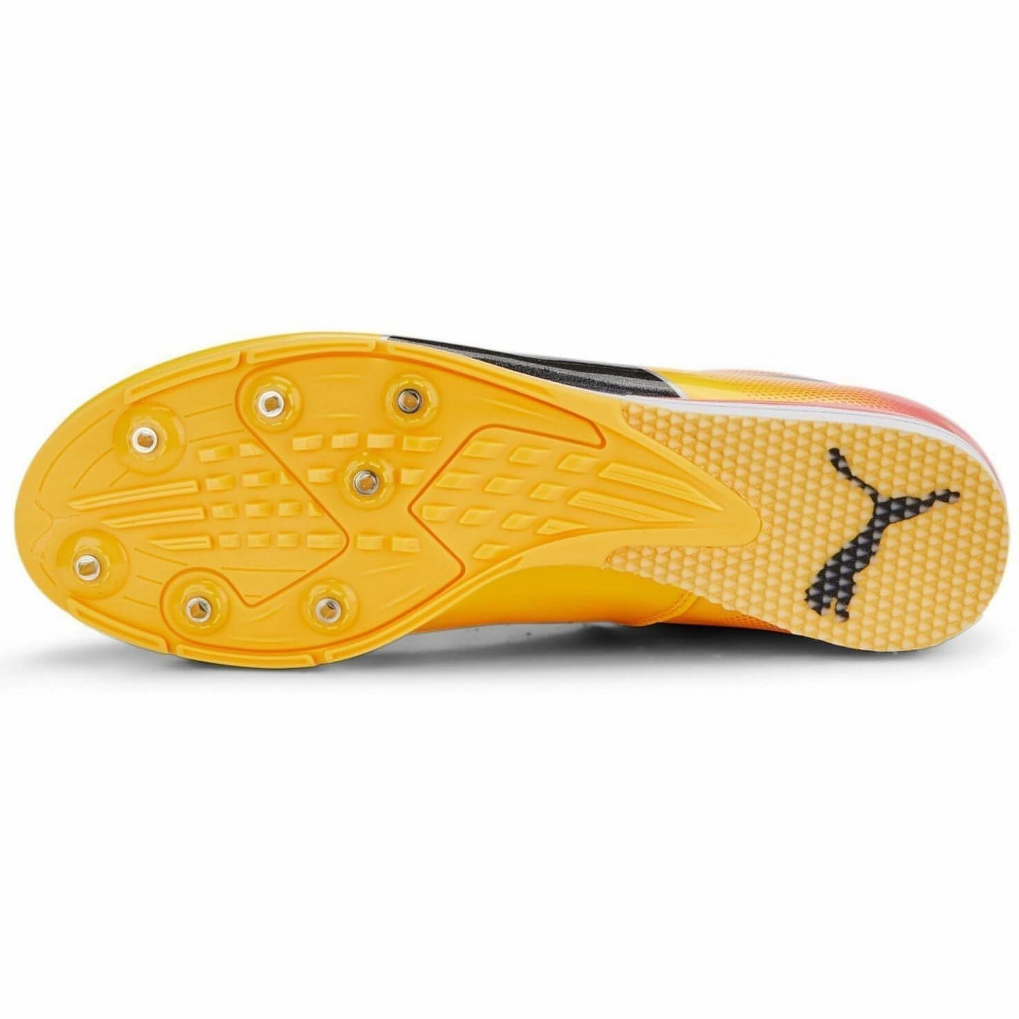 Shoes Puma Puma evoSpeed Triple Jump 10 Field Event Spikes - Orange