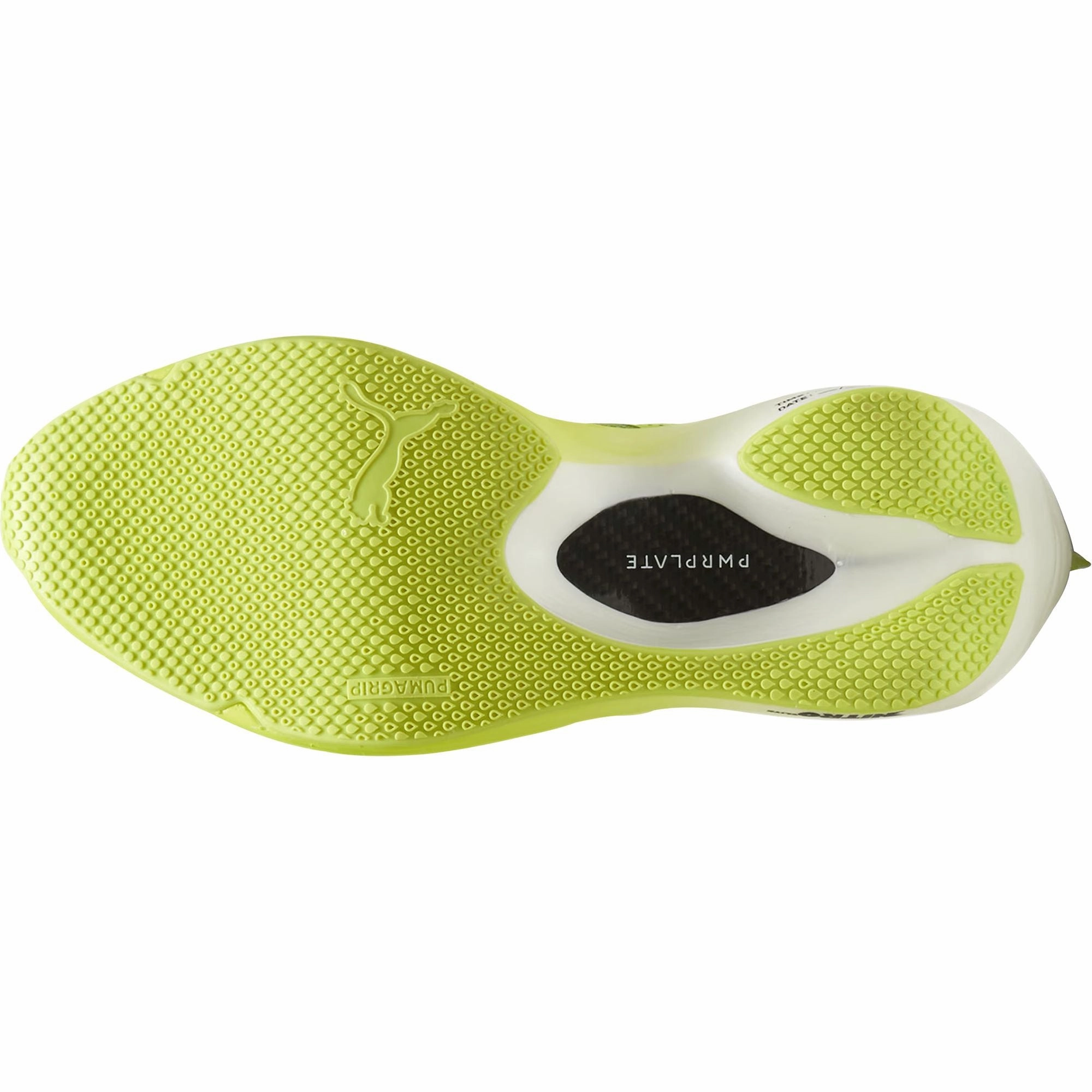 Shoes Puma Puma Fast-FWD Nitro Elite Mens Running Shoes - Green