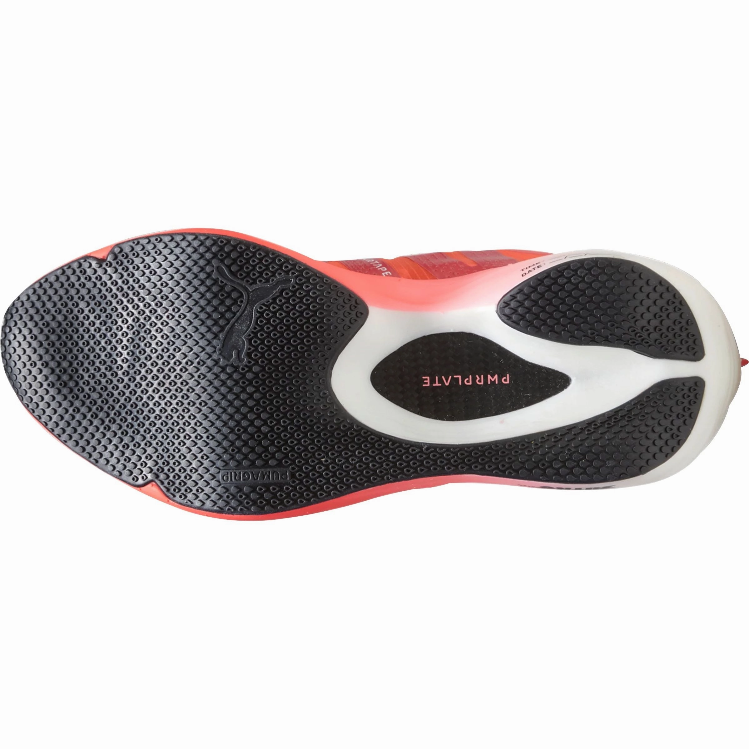 Shoes Puma Puma Fast-FWD Nitro Elite Mens Running Shoes - Multi