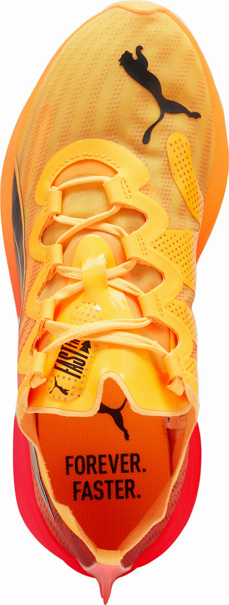 Shoes Puma Puma Fast-FWD Nitro Elite Womens Running Shoes - Orange