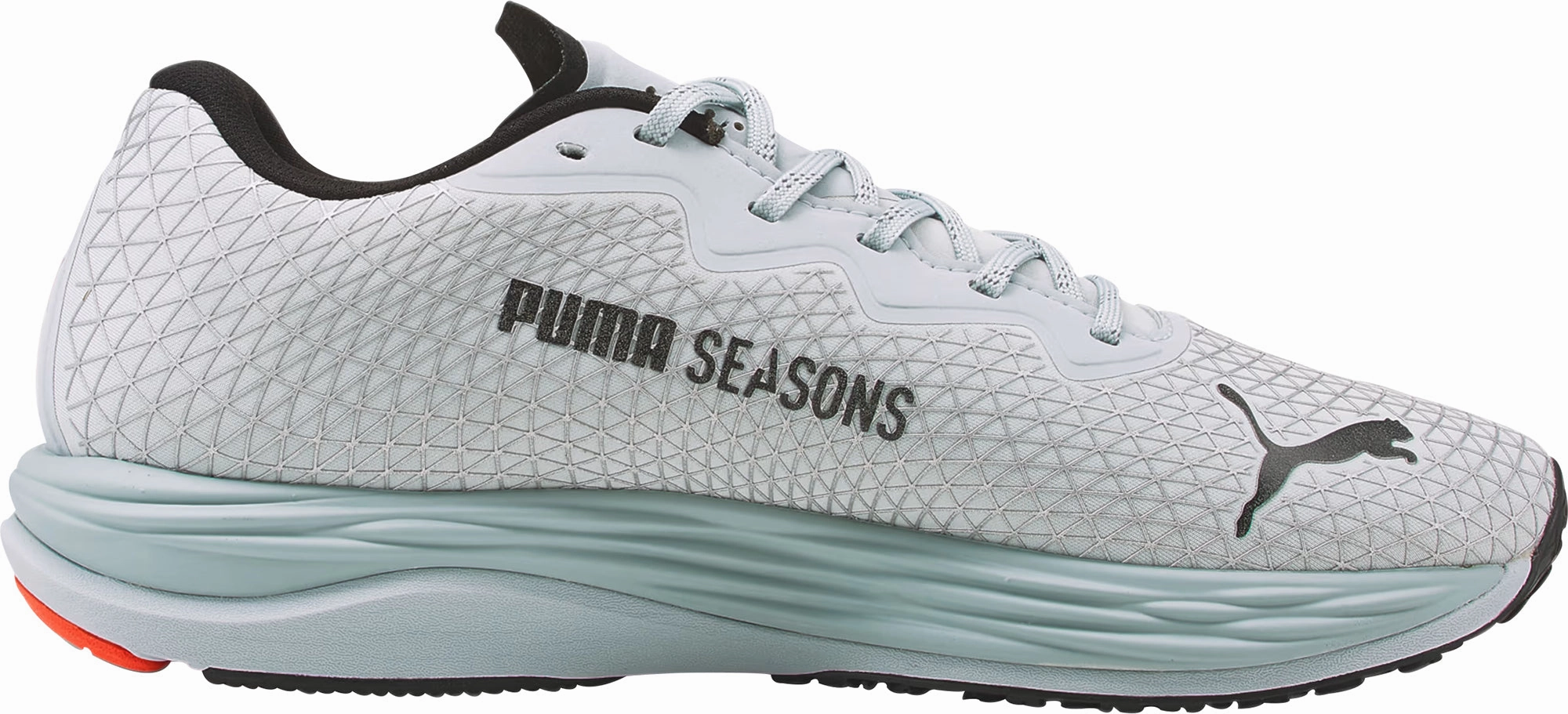 Shoes Puma Puma Velocity Nitro 2 GORE-TEX Mens Running Shoes - Grey