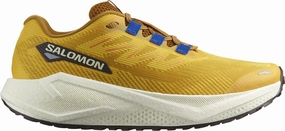Shoes Salomon Salomon Aero Blaze 3 GRVL Mens Trail Running Shoes - Yellow