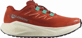 Shoes Salomon Salomon Aero Blaze 3 GRVL Womens Trail Running Shoes - Orange