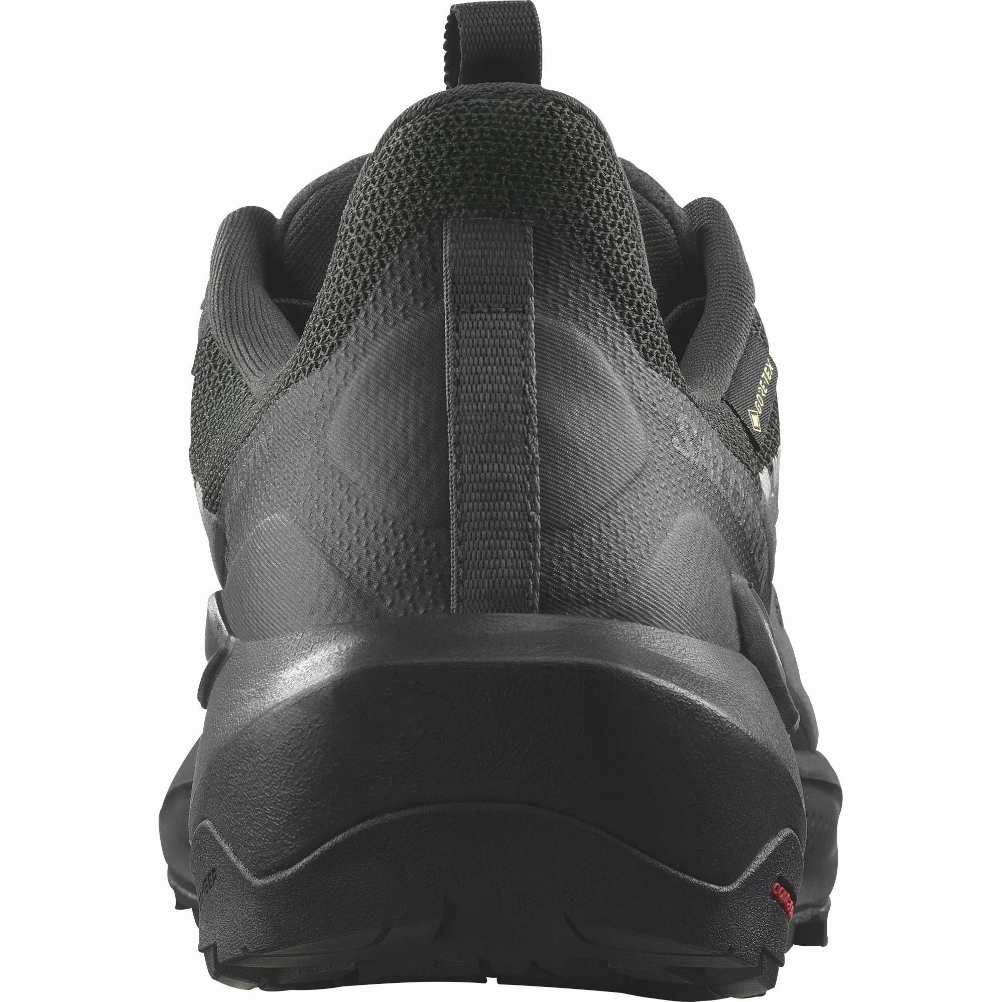Shoes Salomon Salomon Elixir Activ GORE-TEX Mens Walking Shoes - Black