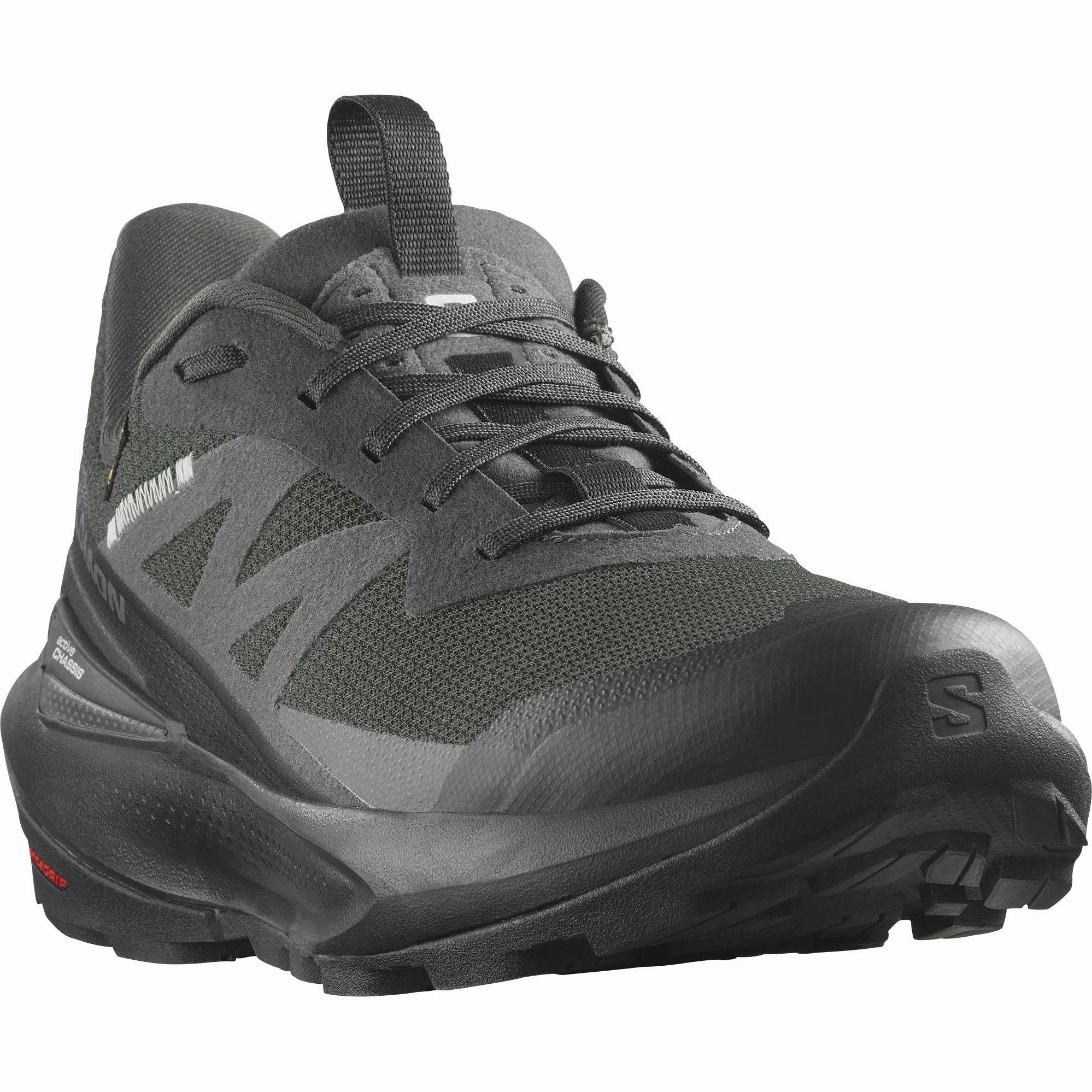 Shoes Salomon Salomon Elixir Activ GORE-TEX Mens Walking Shoes - Black
