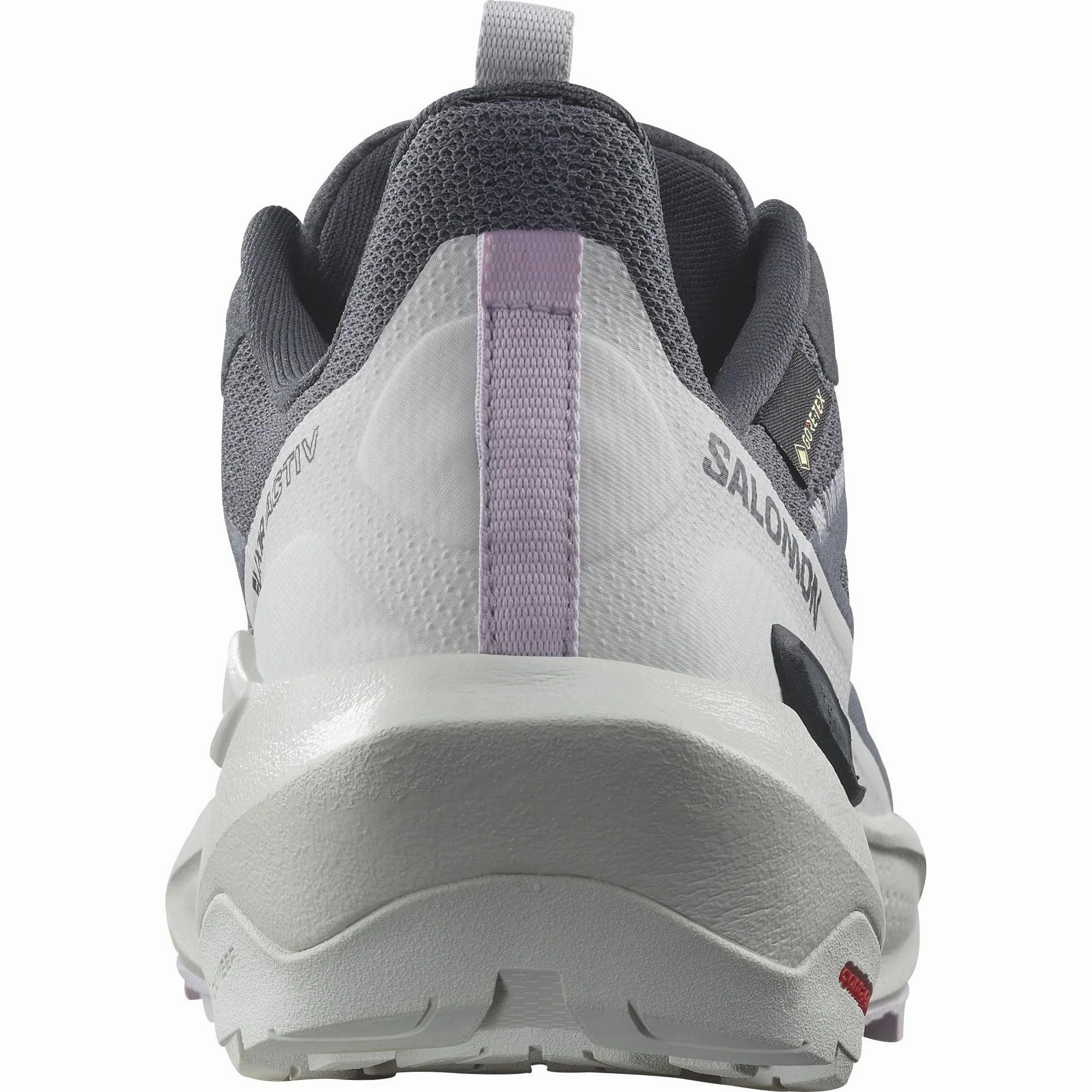Shoes Salomon Salomon Elixir Activ GORE-TEX Womens Walking Shoes - Blue