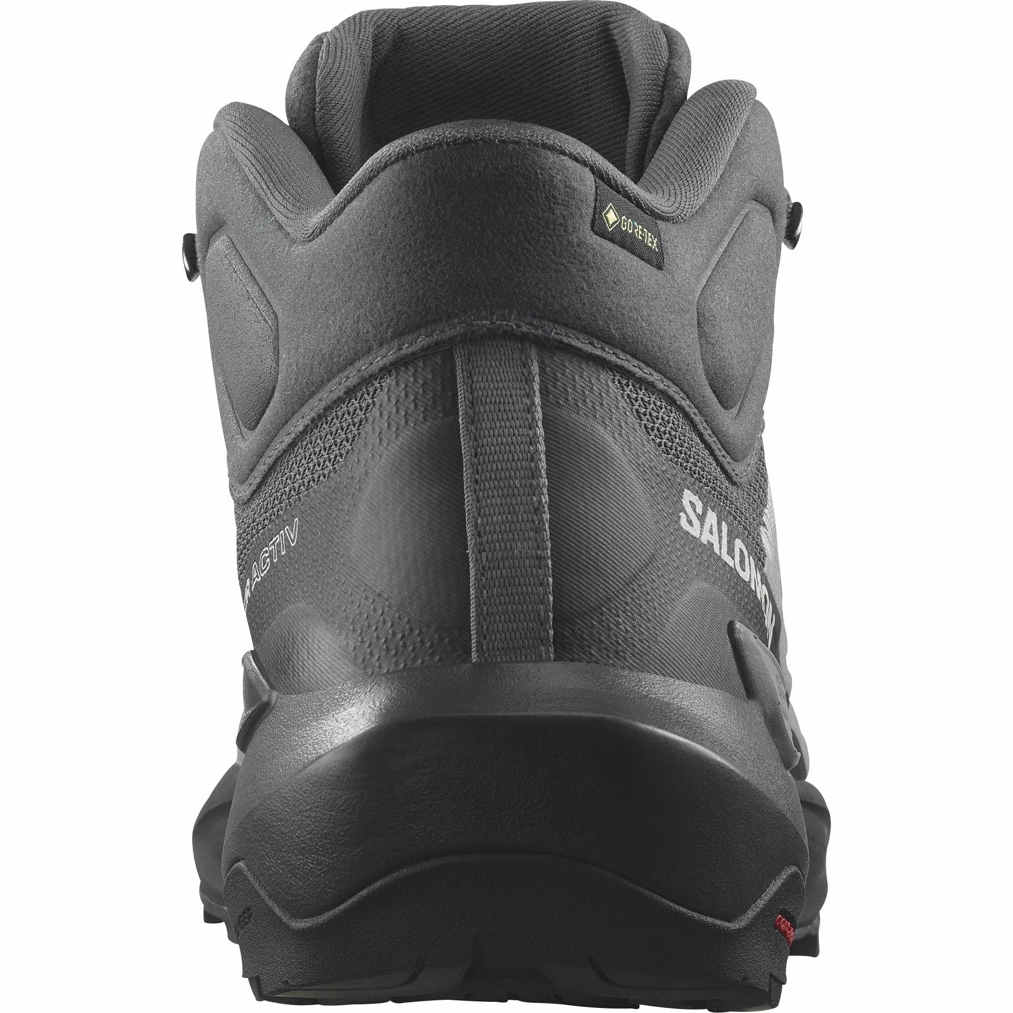 Shoes Salomon Salomon Elixir Activ Mid GORE-TEX Mens Walking Shoes - Grey