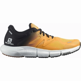 Shoes Salomon Salomon Predict 2 Mens Running Shoes - Orange