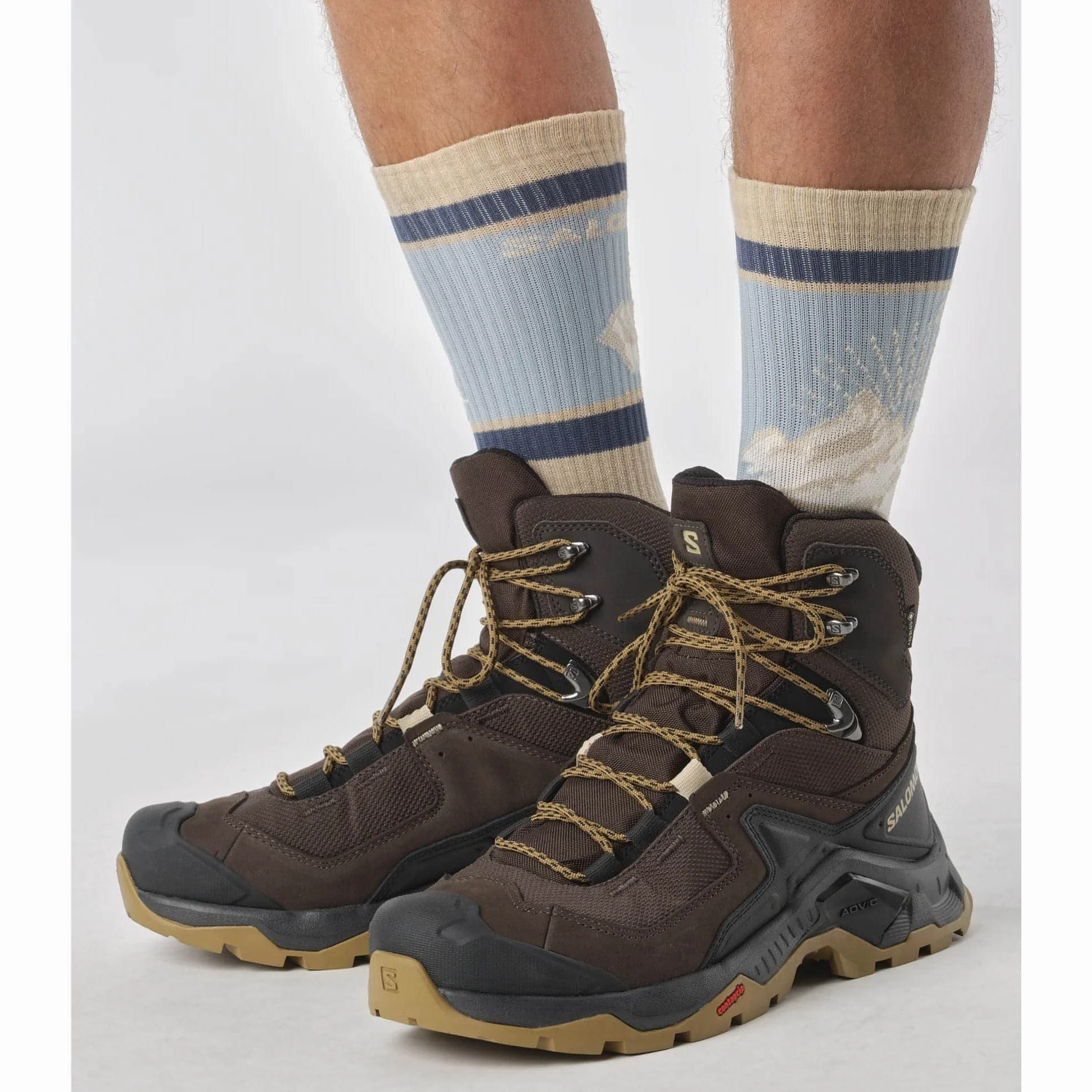 Shoes Salomon Salomon Quest Element GORE-TEX Mens Walking Boots - Brown