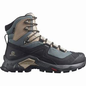 Shoes Salomon Salomon Quest Element GORE-TEX Womens Walking Boots - Grey