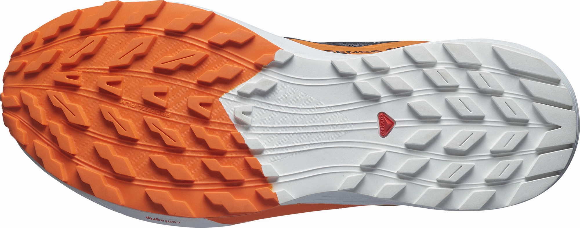 Shoes Salomon Salomon Sense Ride 5 GORE-TEX Mens Trail Running Shoes - Grey